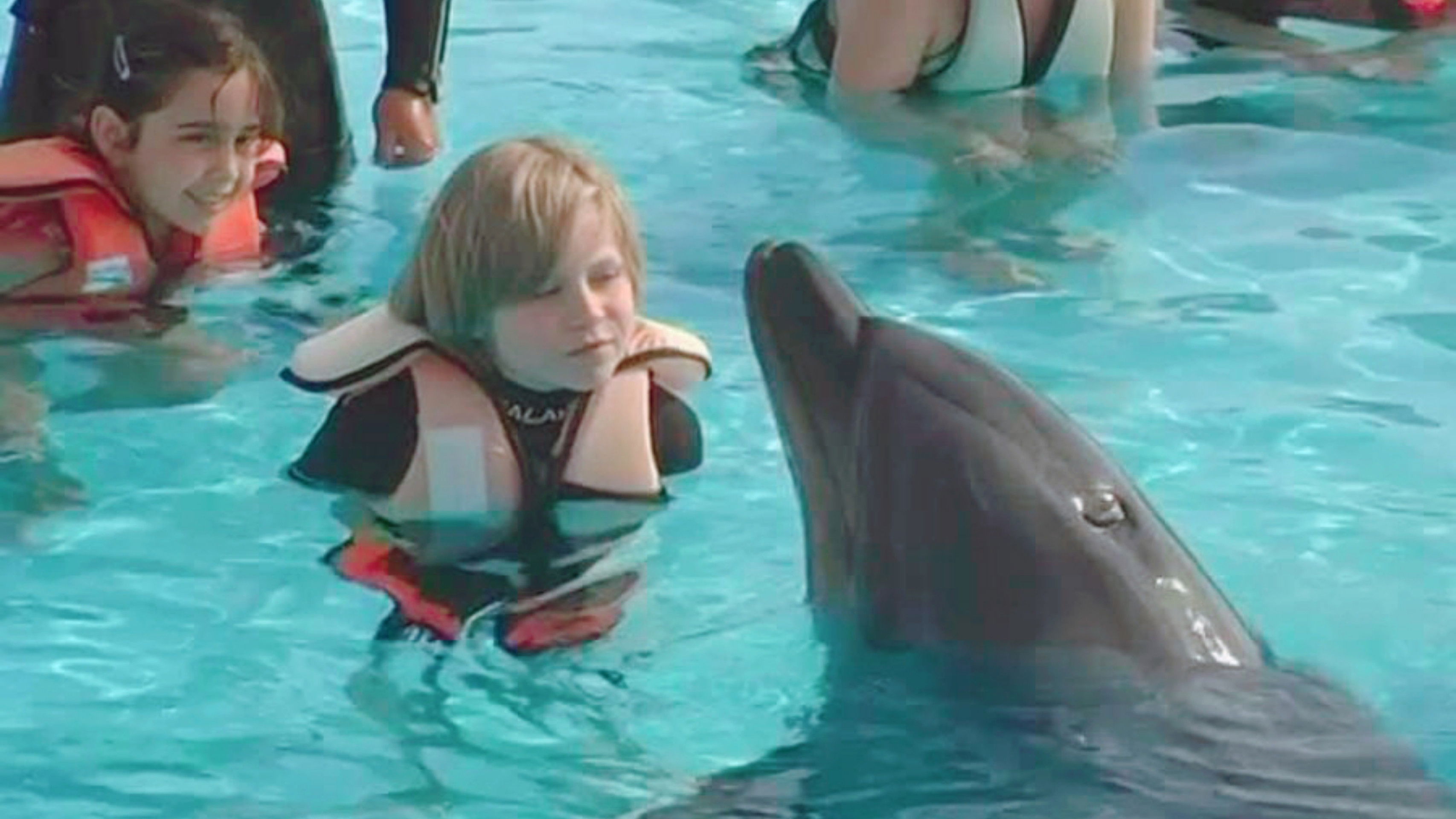 Backdrop for Saving Flipper