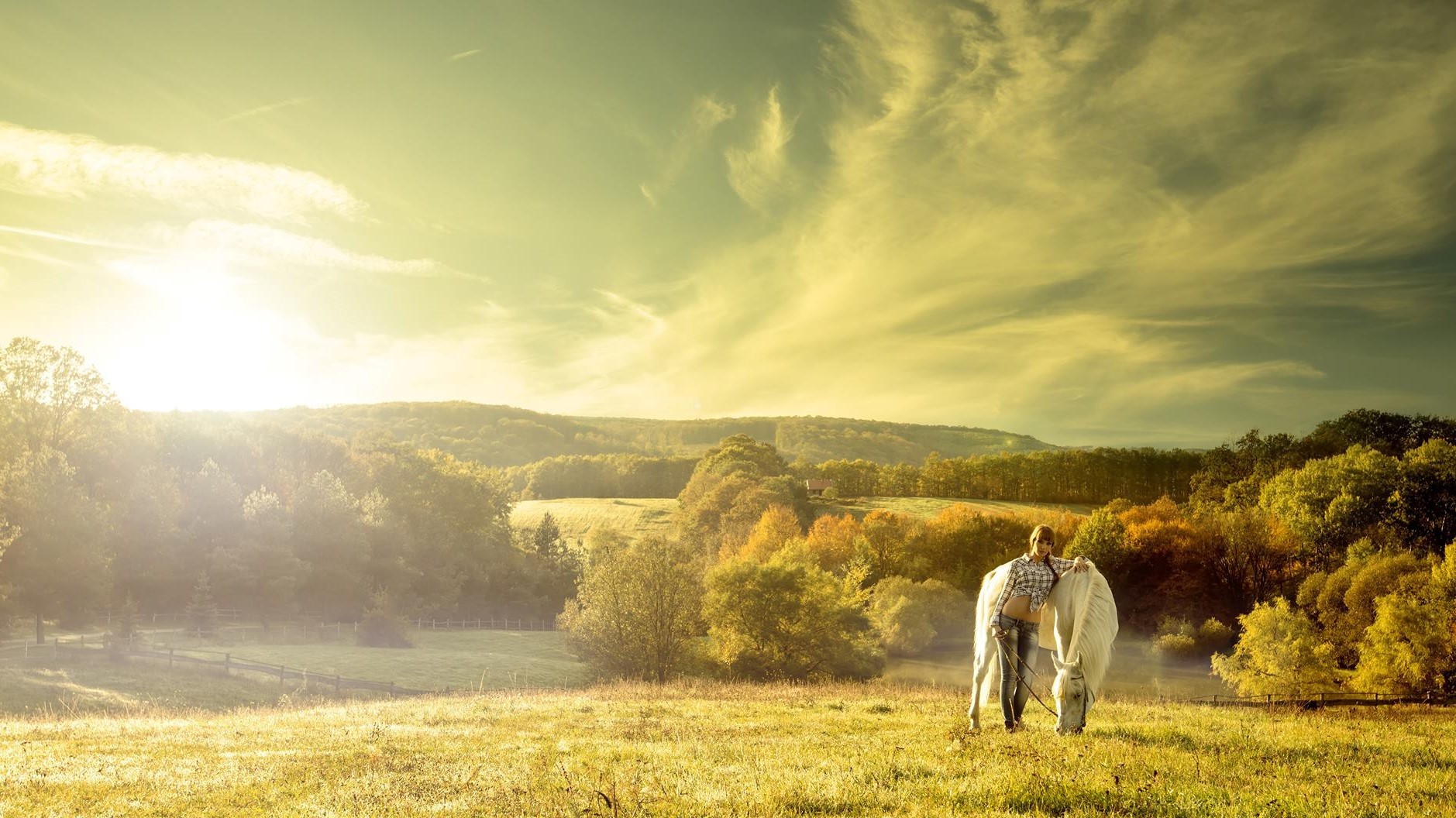 Backdrop for Riding High
