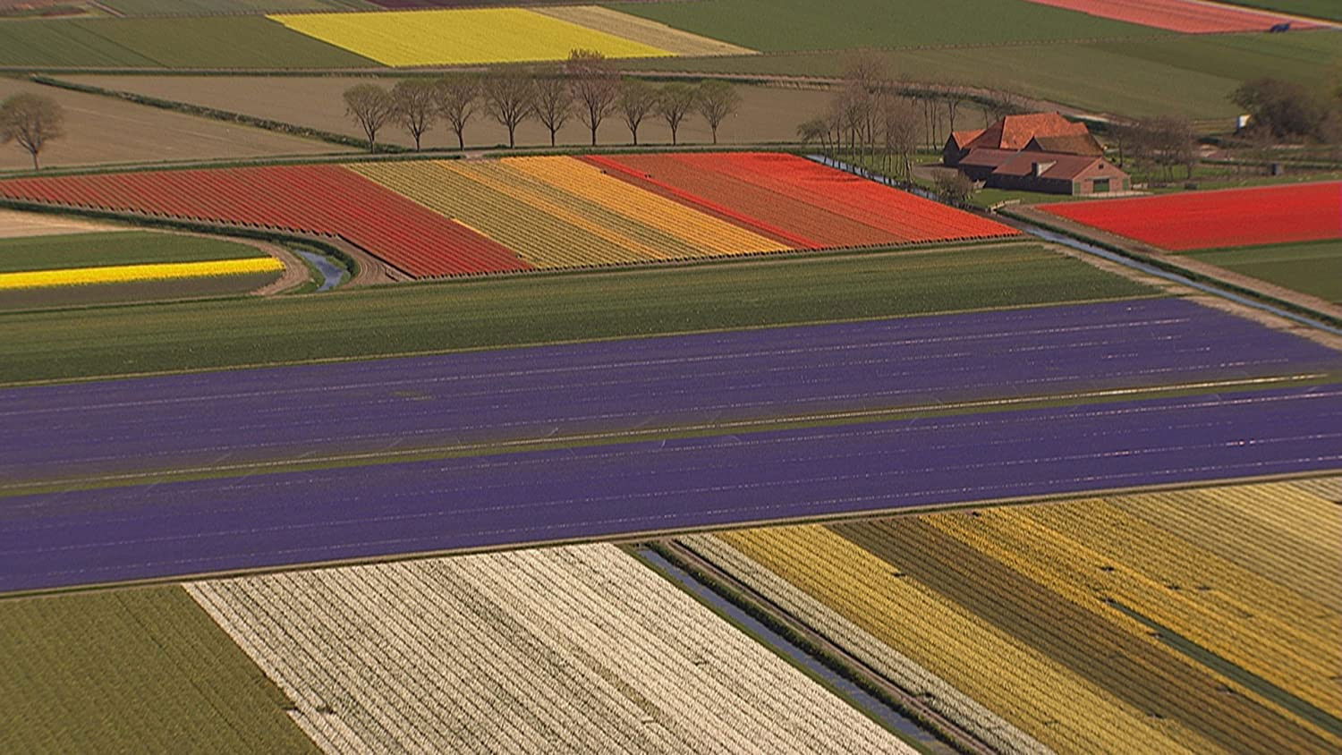 Backdrop for Home - Story of a Journey