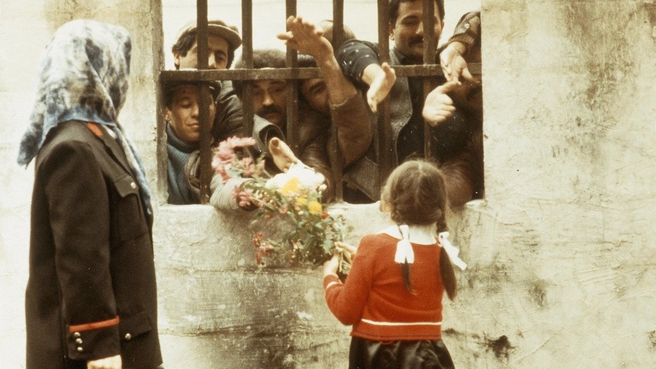 Backdrop for The Wall