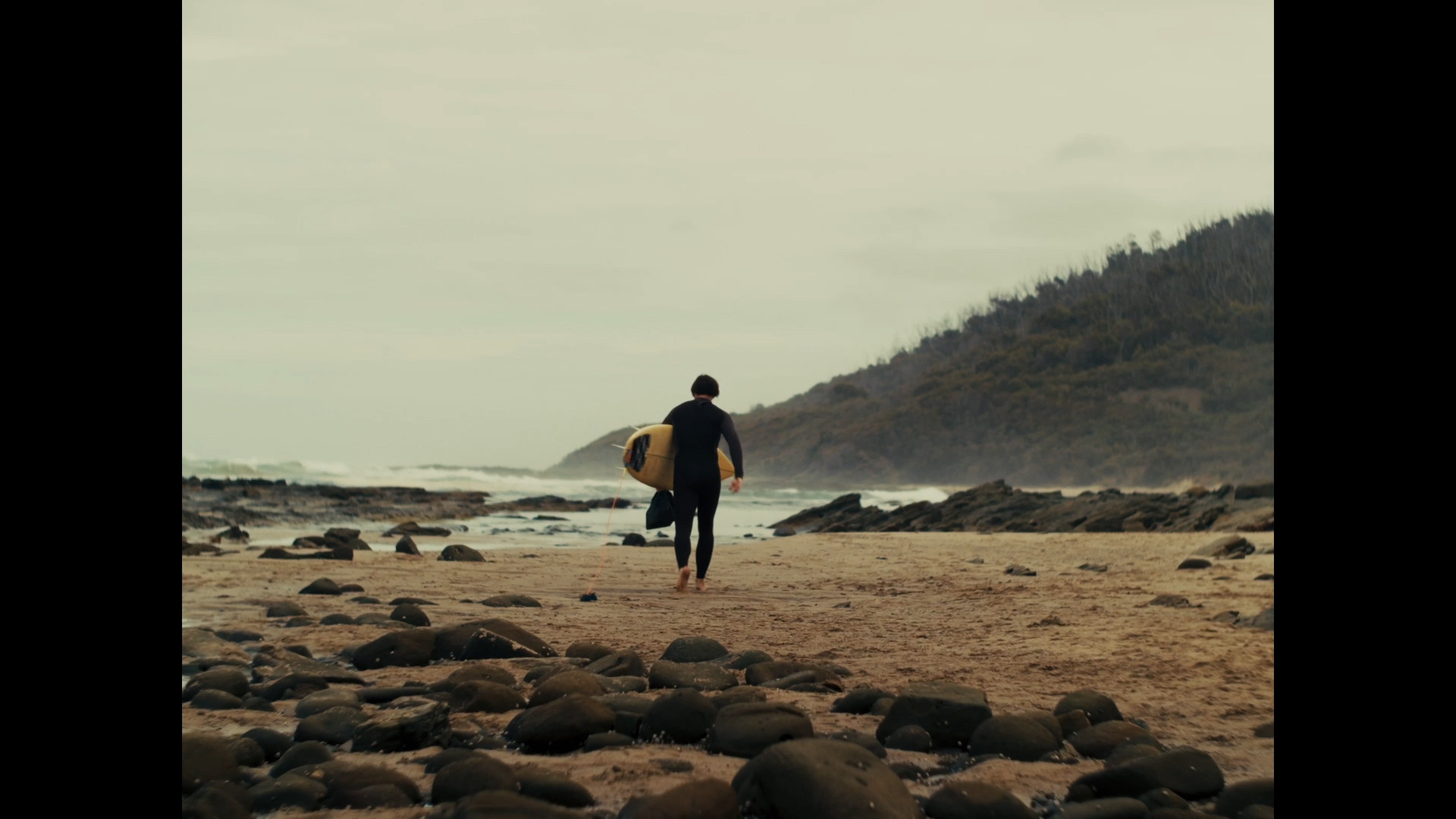 Backdrop for For The Dear Leader