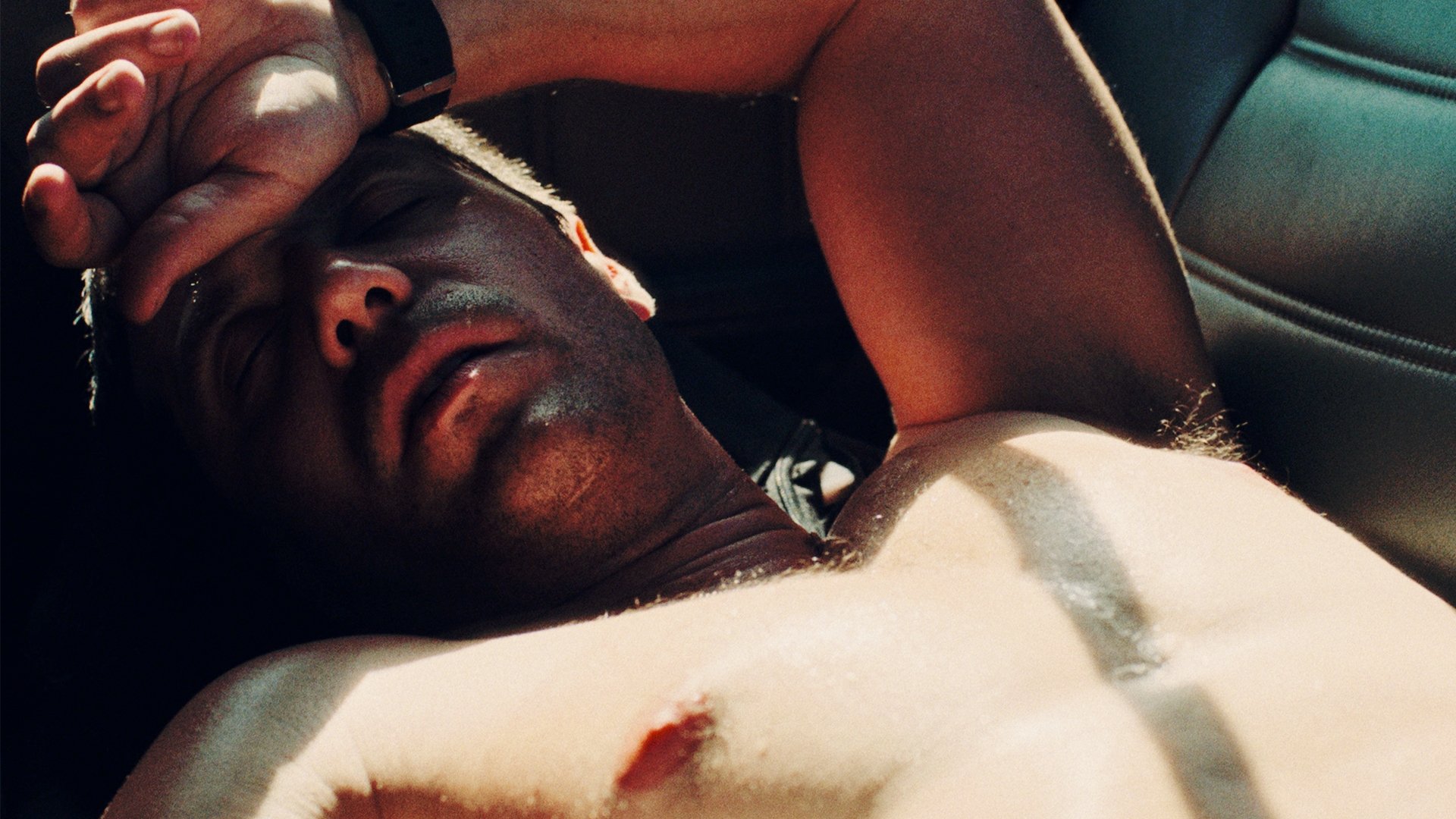 Backdrop for Private Desert