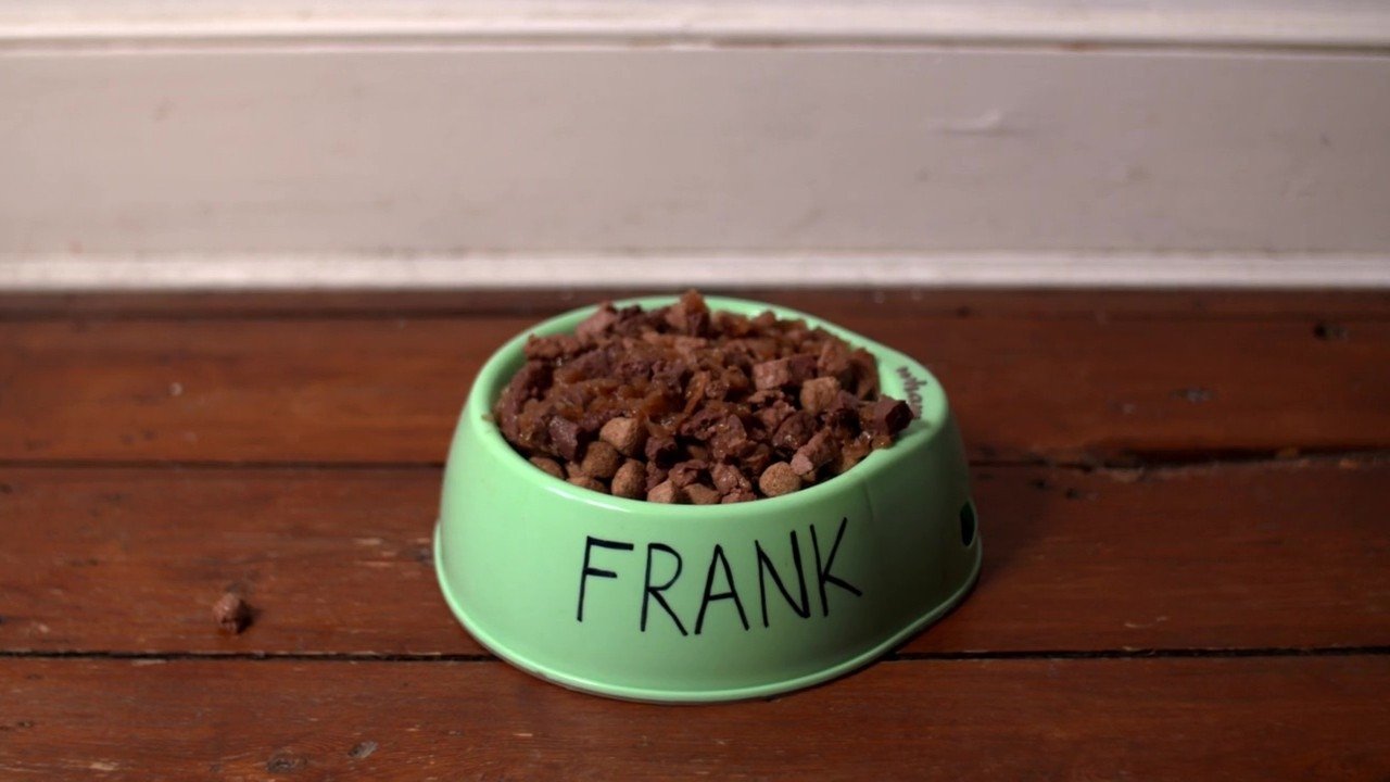 Backdrop for L.T.'s Theory of Pets