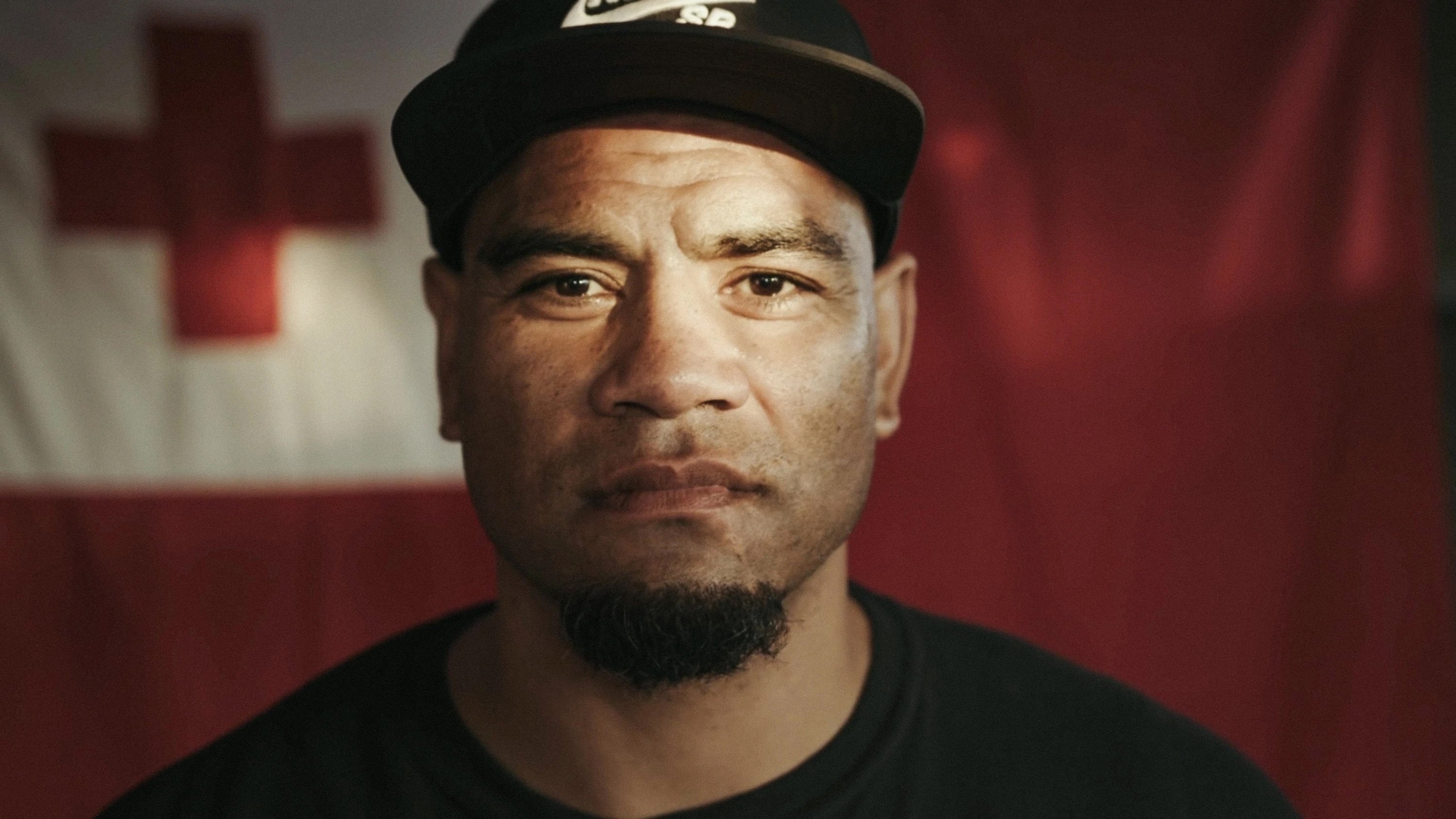 Backdrop for Zealandia