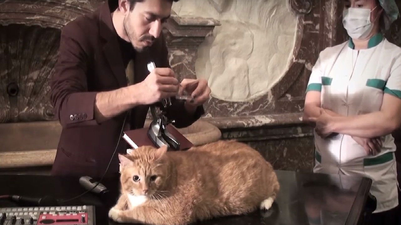 Backdrop for Metacinema appliqué