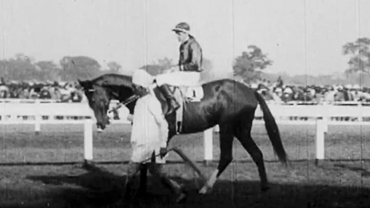 Backdrop for Calcutta Topical No. 1