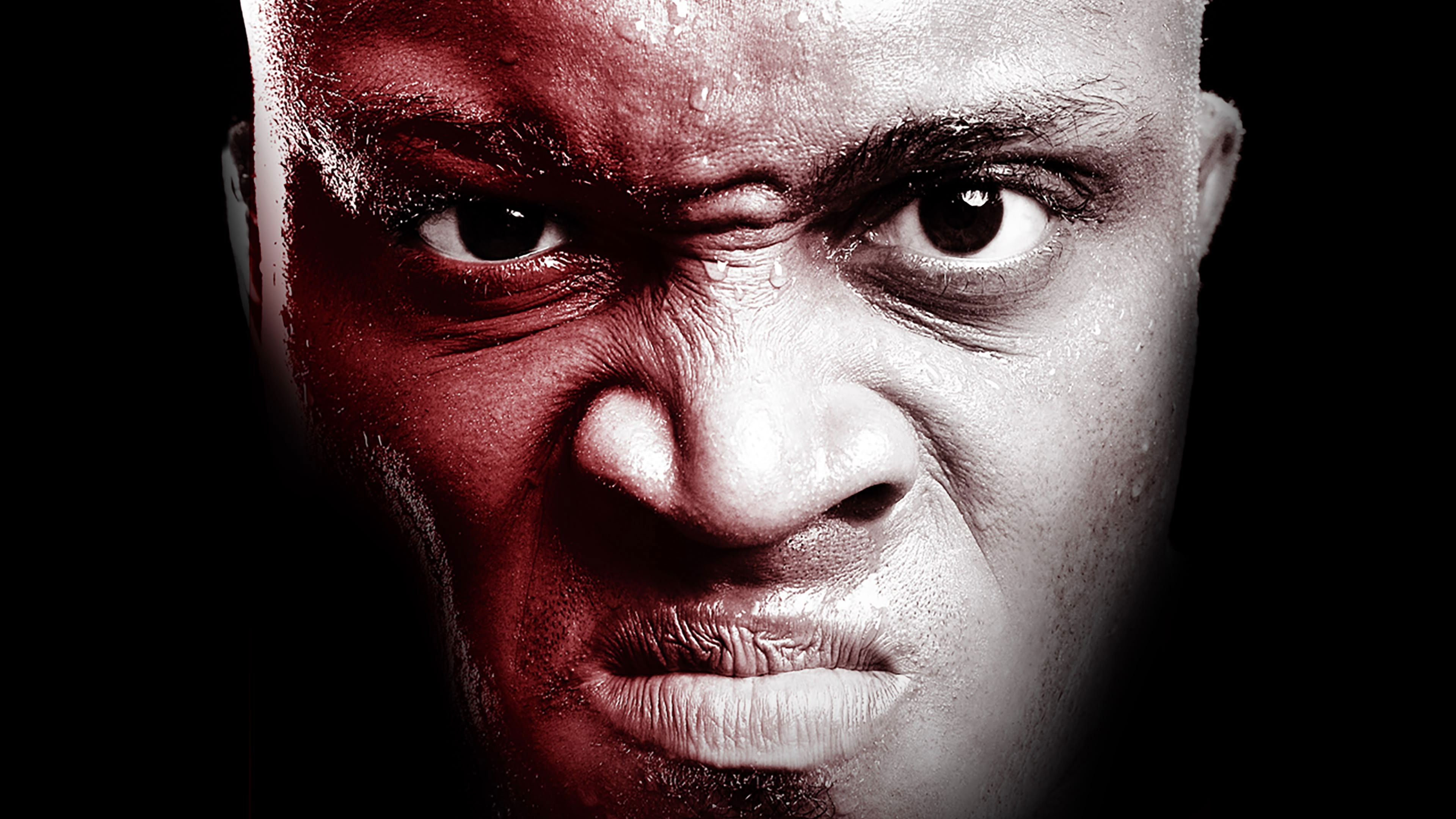 Backdrop for WWE One Night Stand 2007