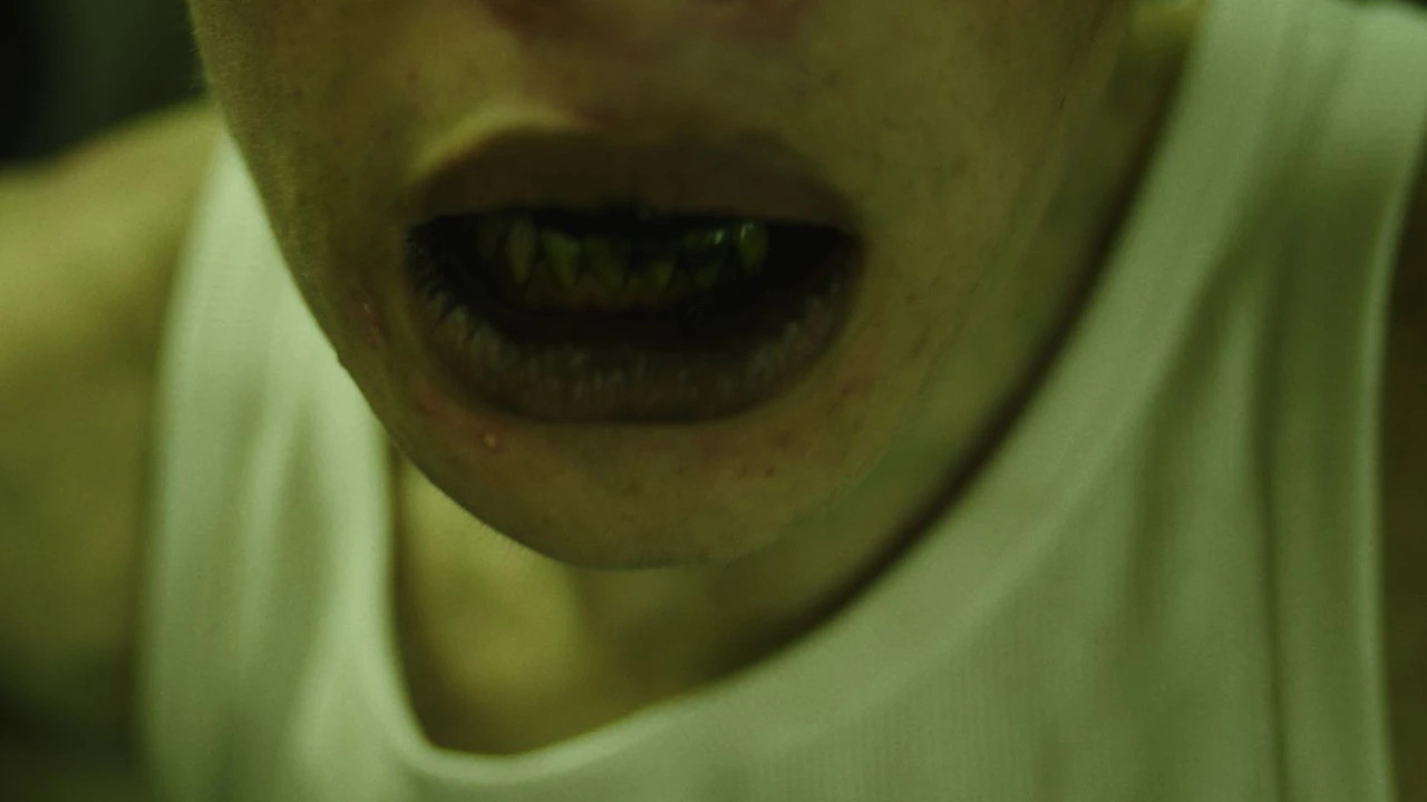 Backdrop for Disease