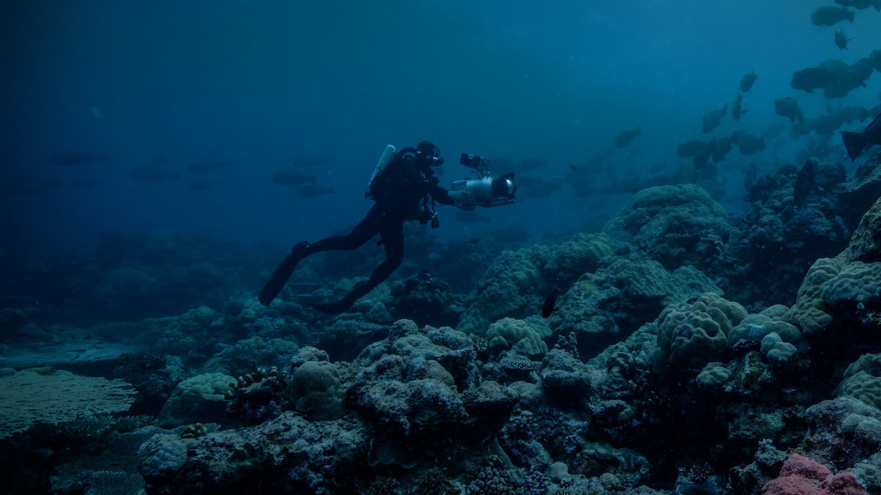 Backdrop for Night on Earth: Shot in the Dark