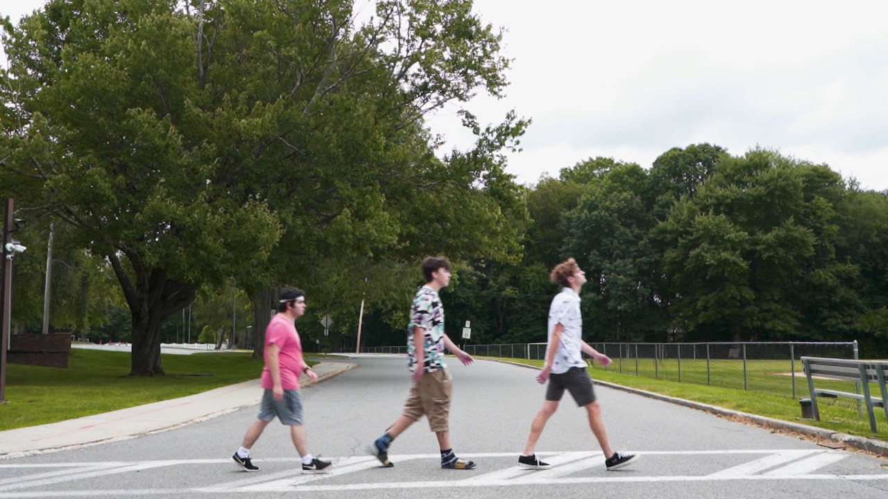 Backdrop for Spring Brake