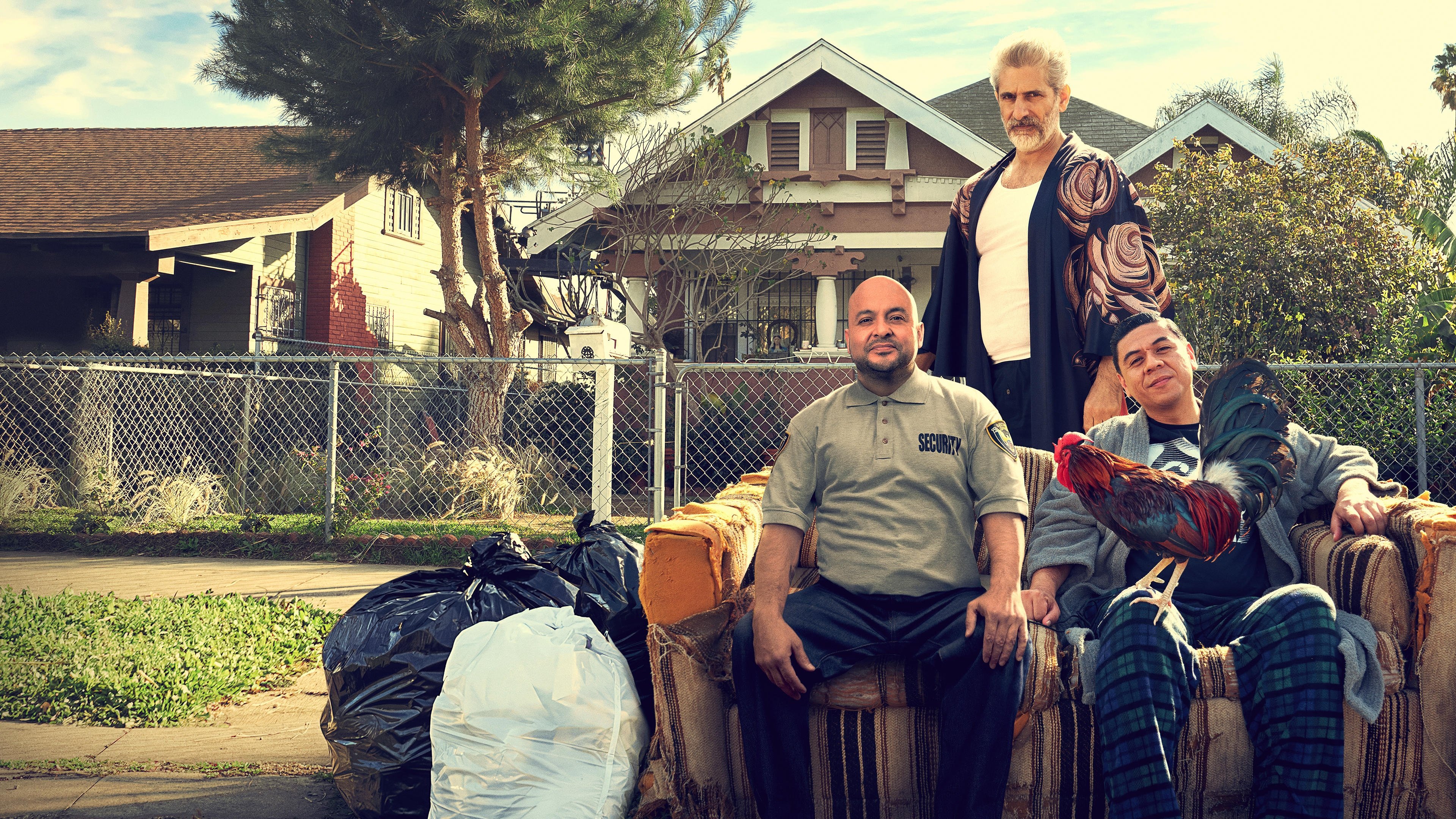 Backdrop for This Fool