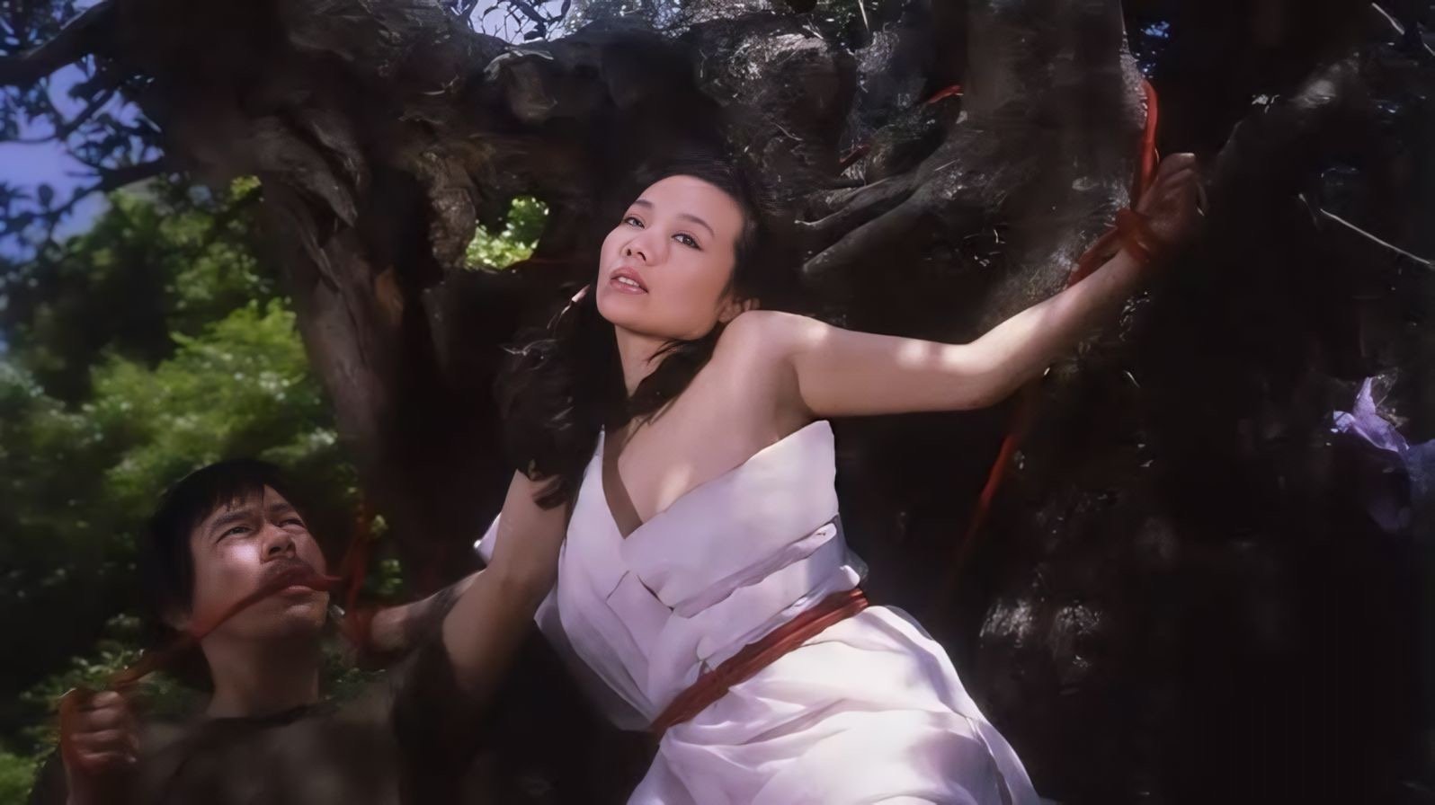 Backdrop for Secretary Rope Discipline