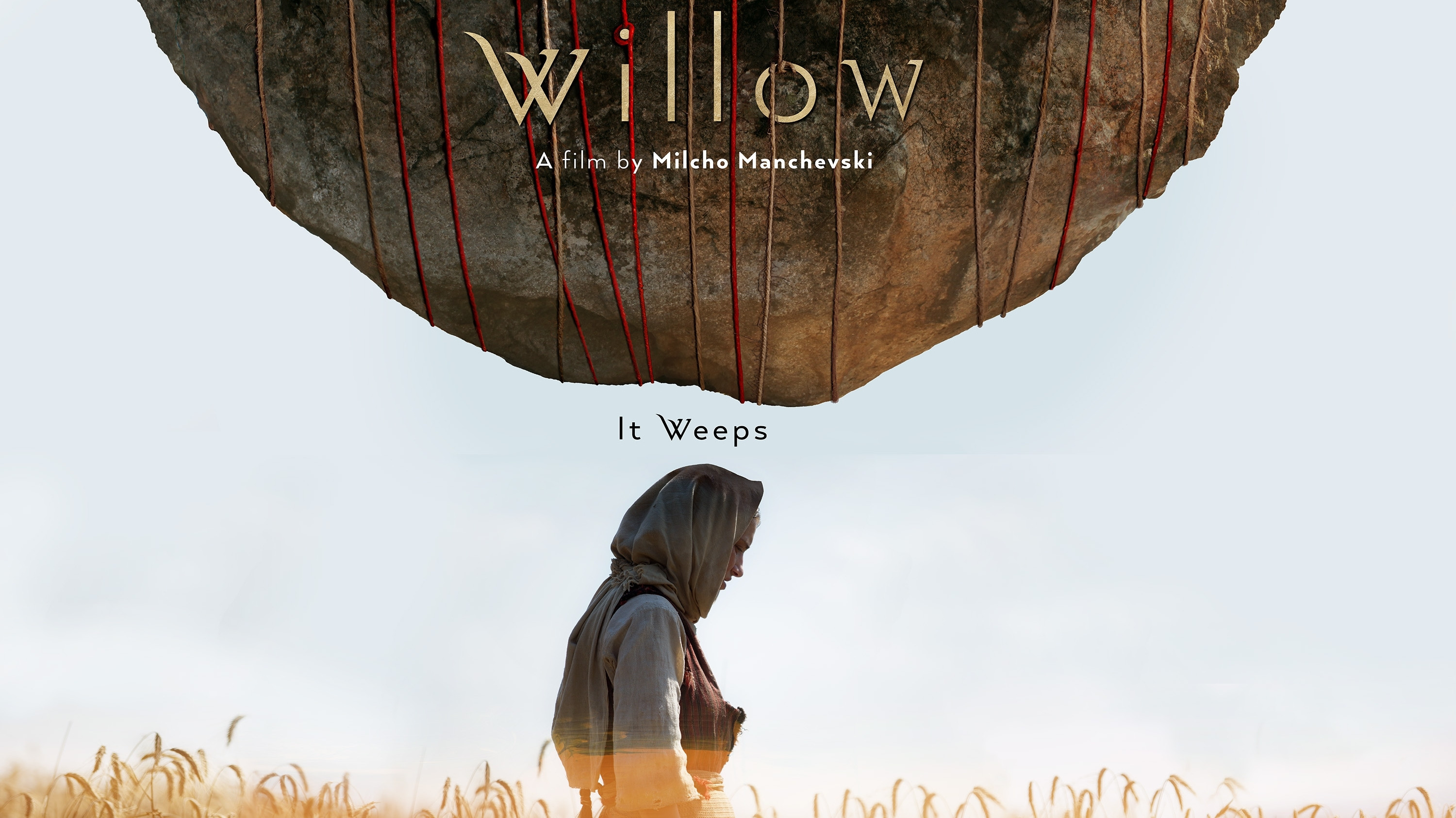 Backdrop for Willow