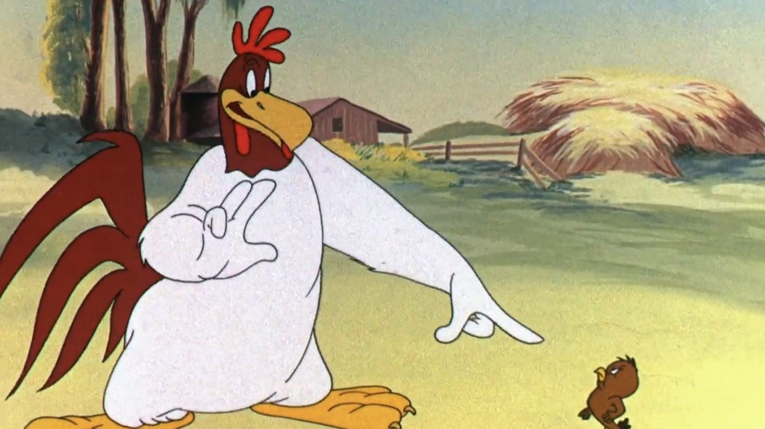 Backdrop for Walky Talky Hawky