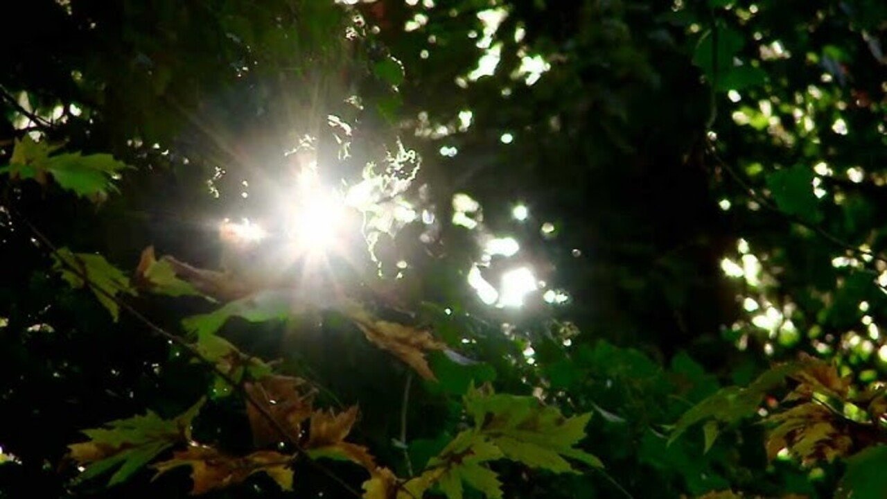 Backdrop for Golden Times – Cassandra’s Treasure