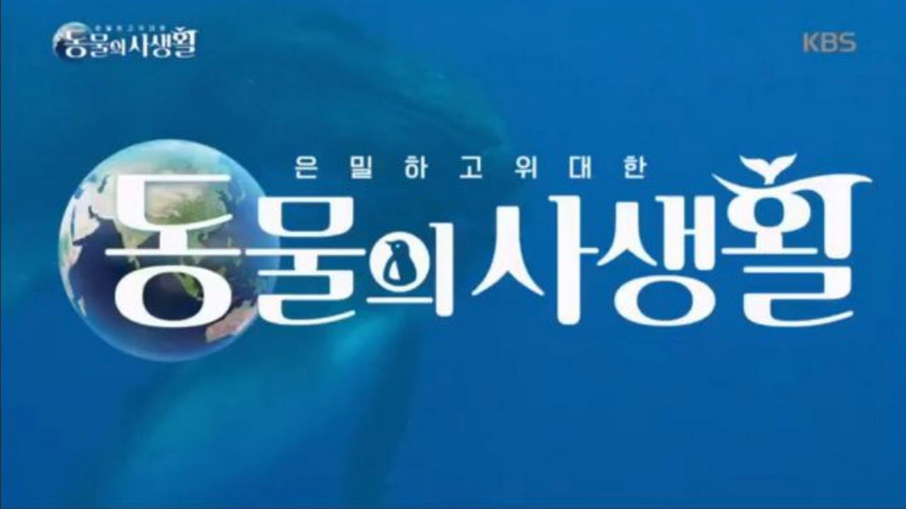 Backdrop for Secrets of Wildlife