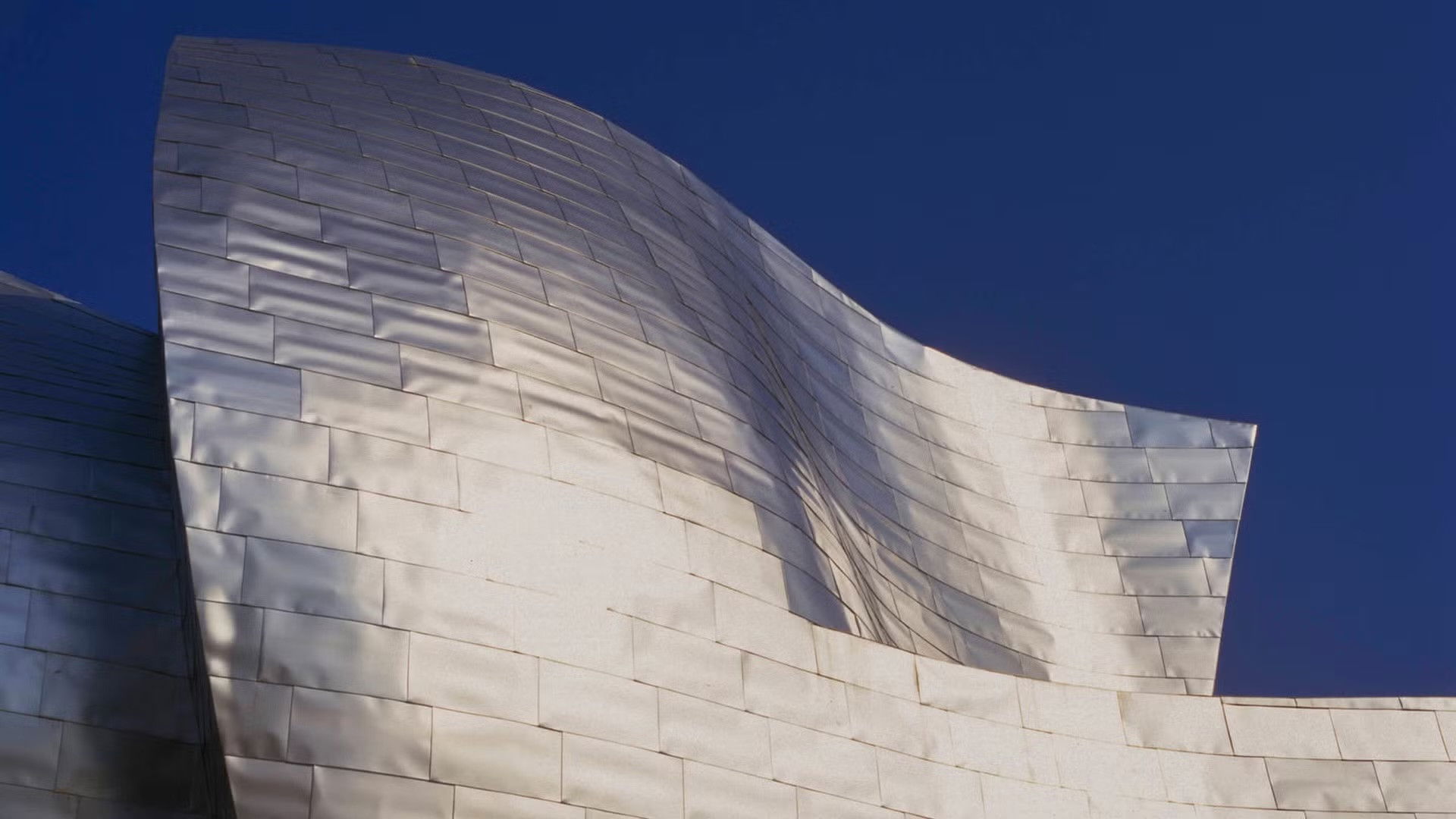 Backdrop for Perspectivas