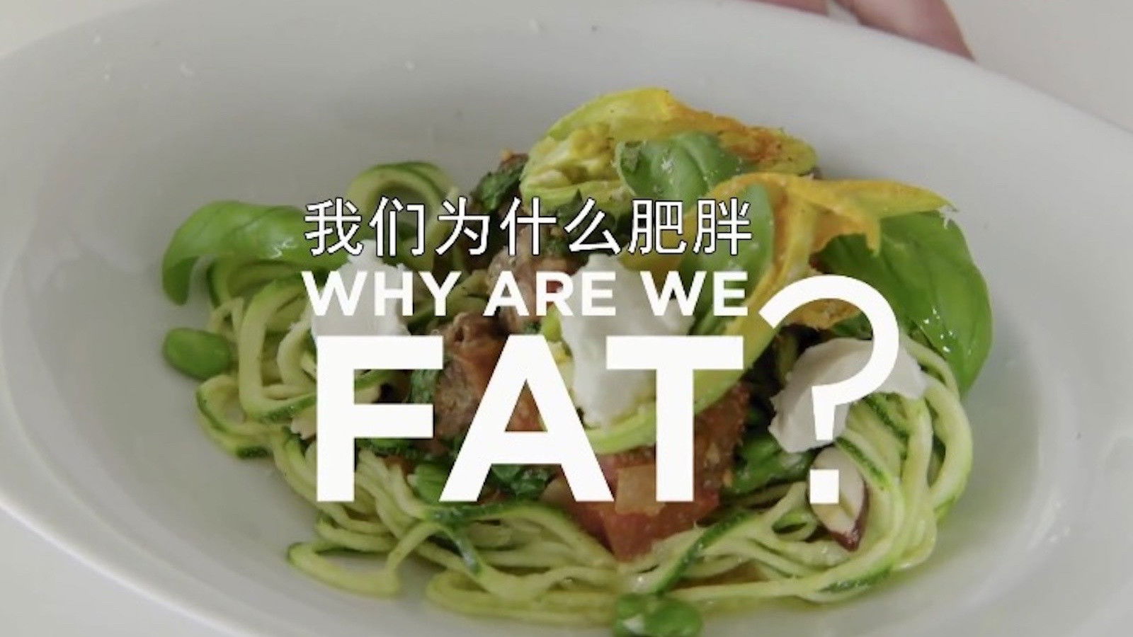 Backdrop for Why Are We Getting So Fat?