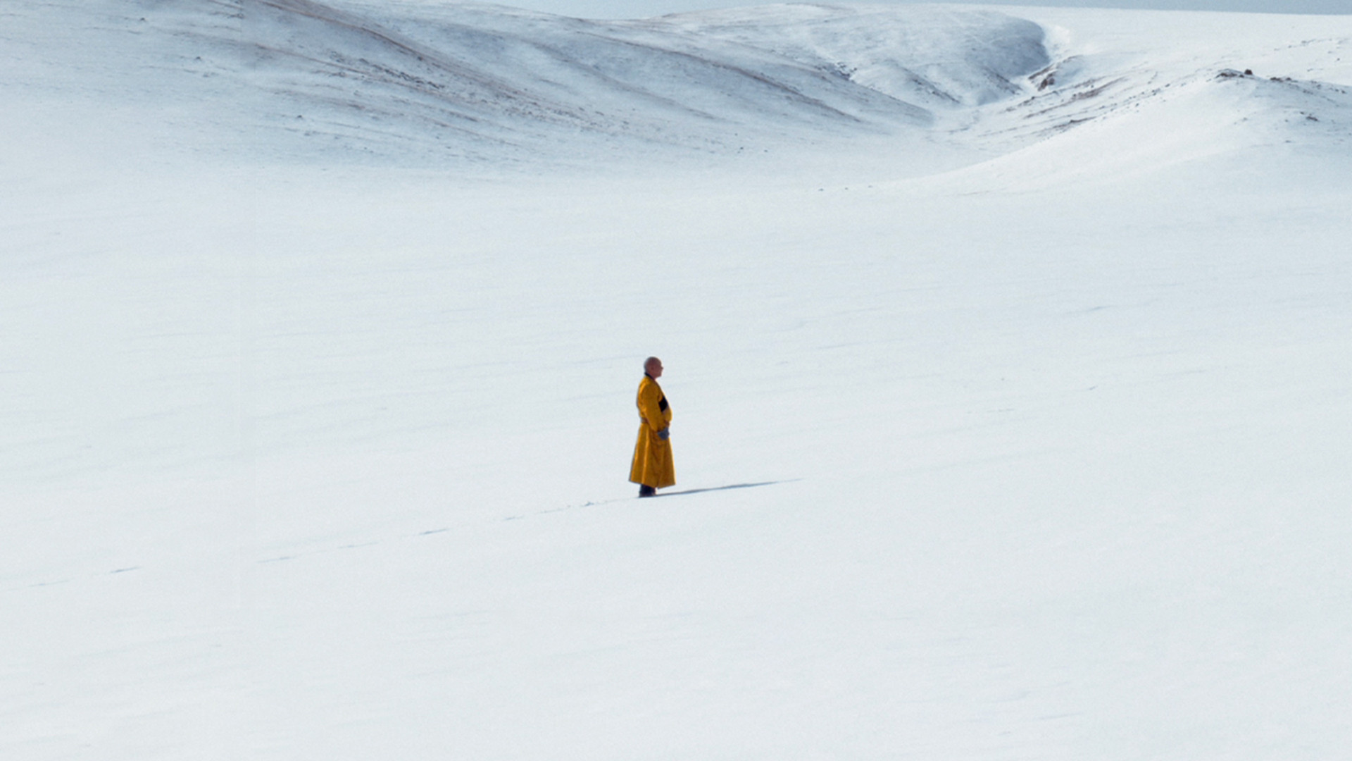 Backdrop for The Medicine Buddha