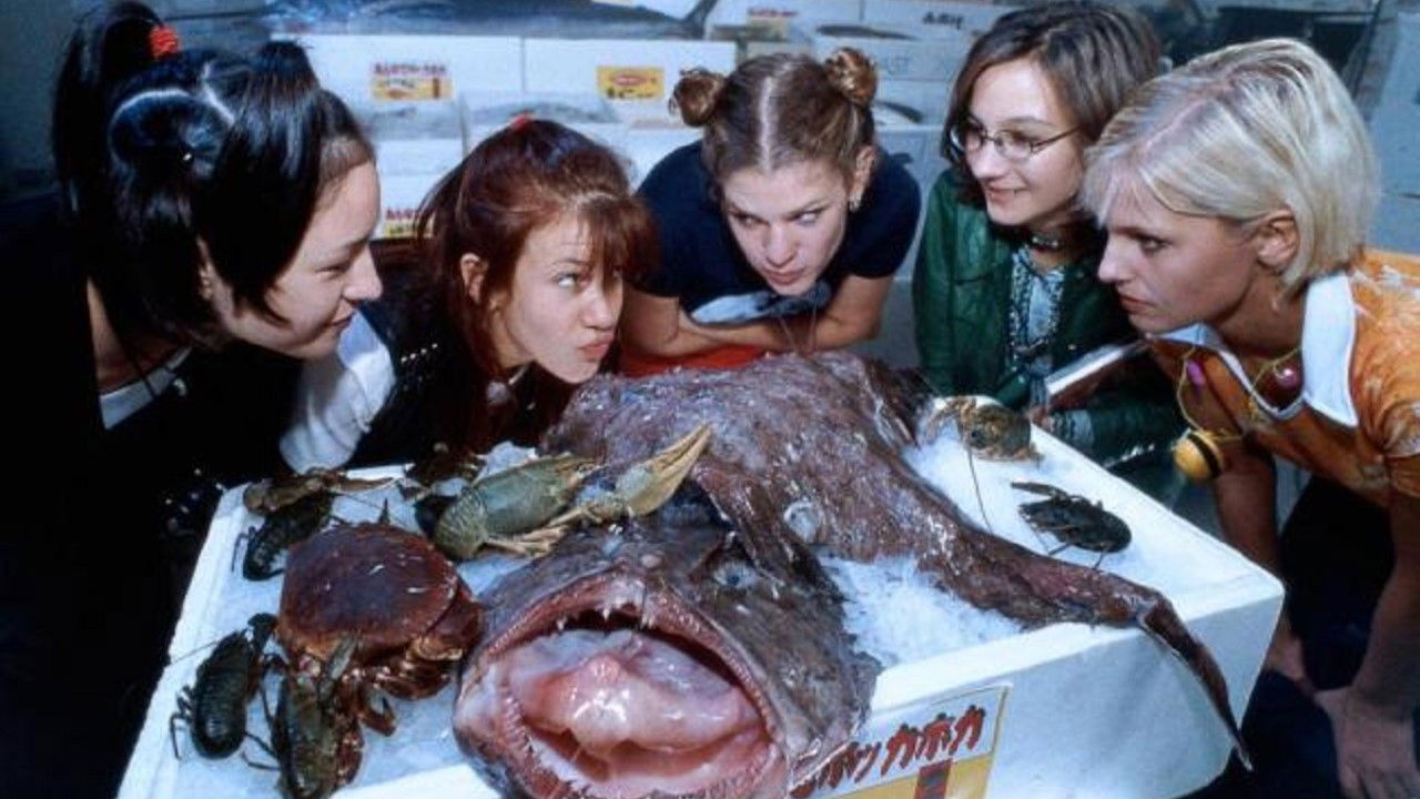 Backdrop for Freundinnen & andere Monster