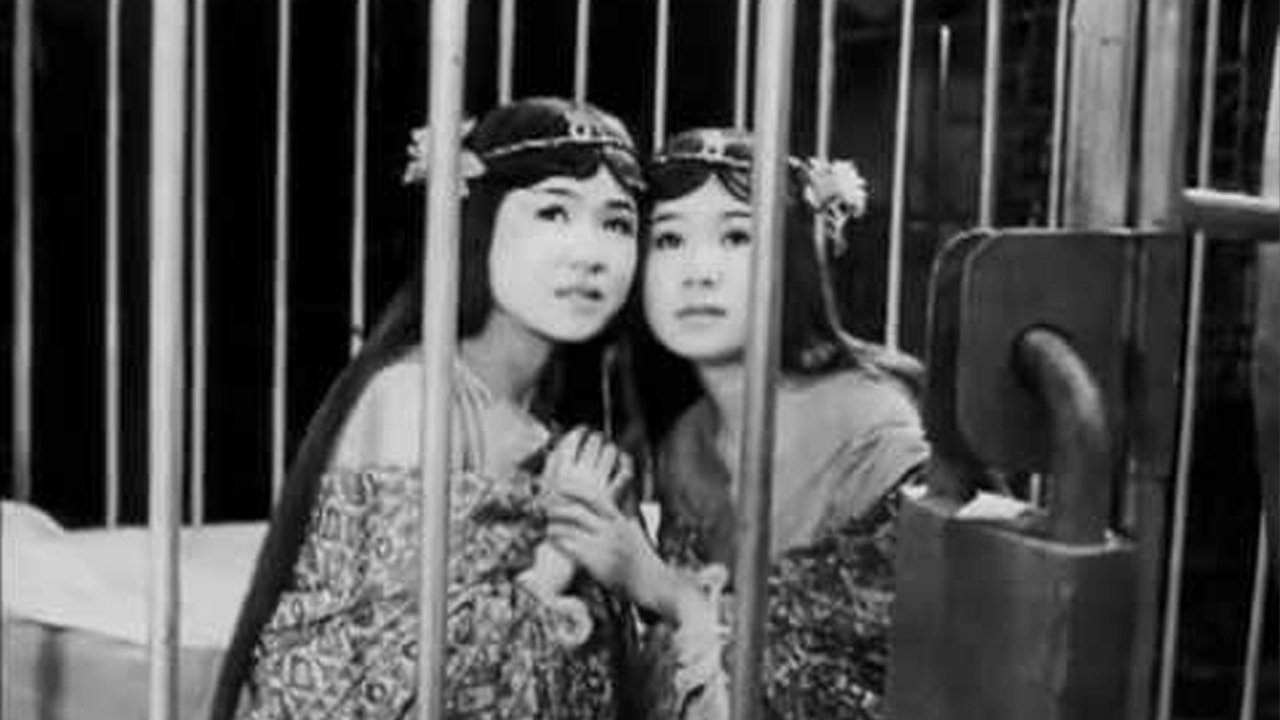 Backdrop for The Women of Godzilla