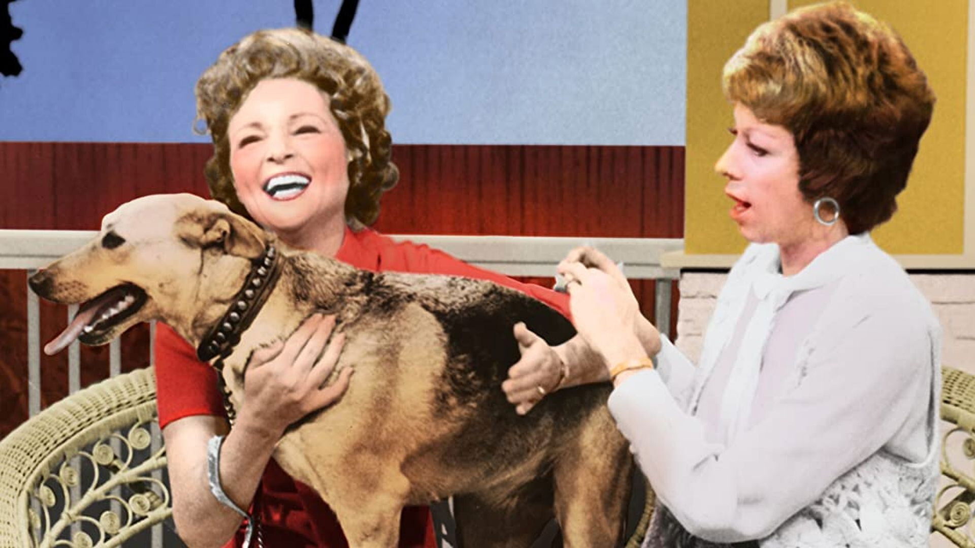 Backdrop for The Pet Set