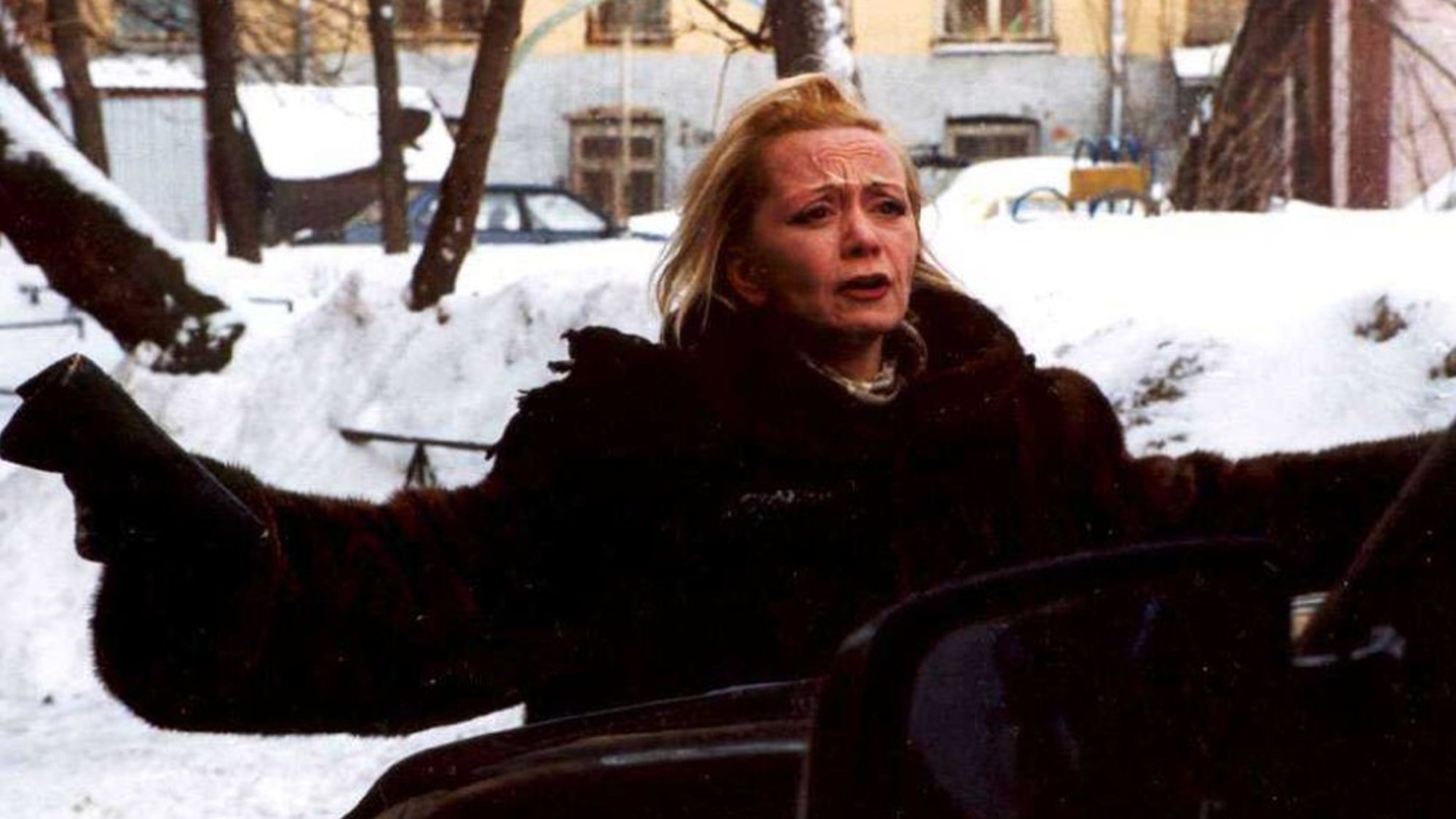 Backdrop for An Emigrant, or a Beard With Glasses and A Warthog