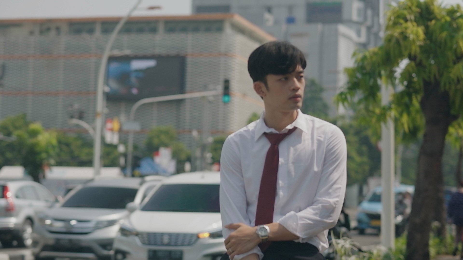 Backdrop for The Shape of Invisible Skies