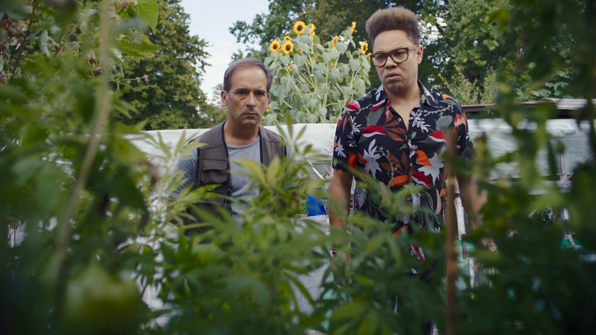 Backdrop for Eden für jeden