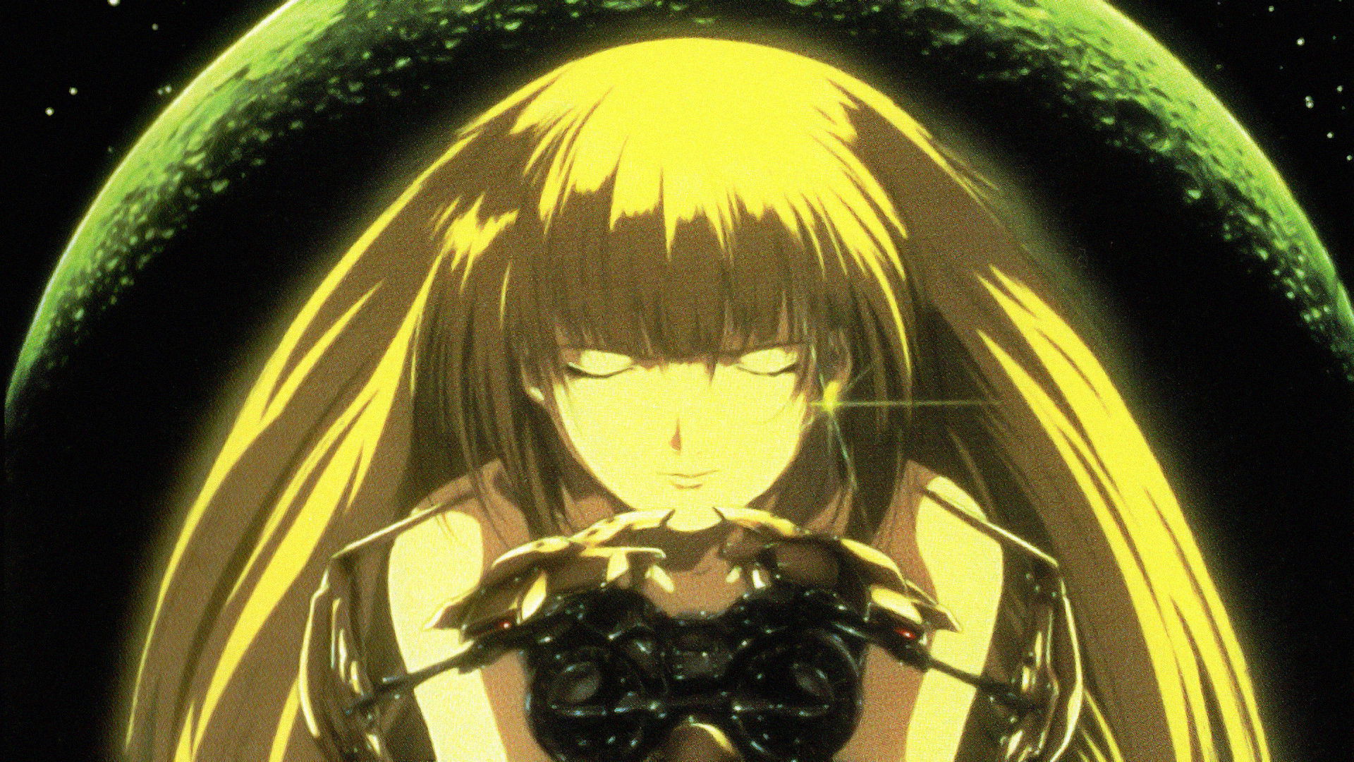 Backdrop for Bounty Dog