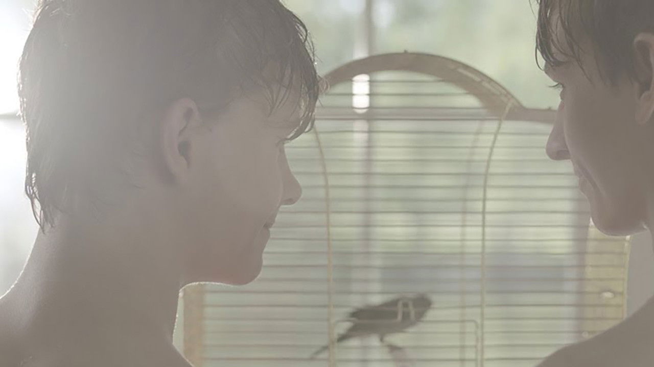 Backdrop for Daniël