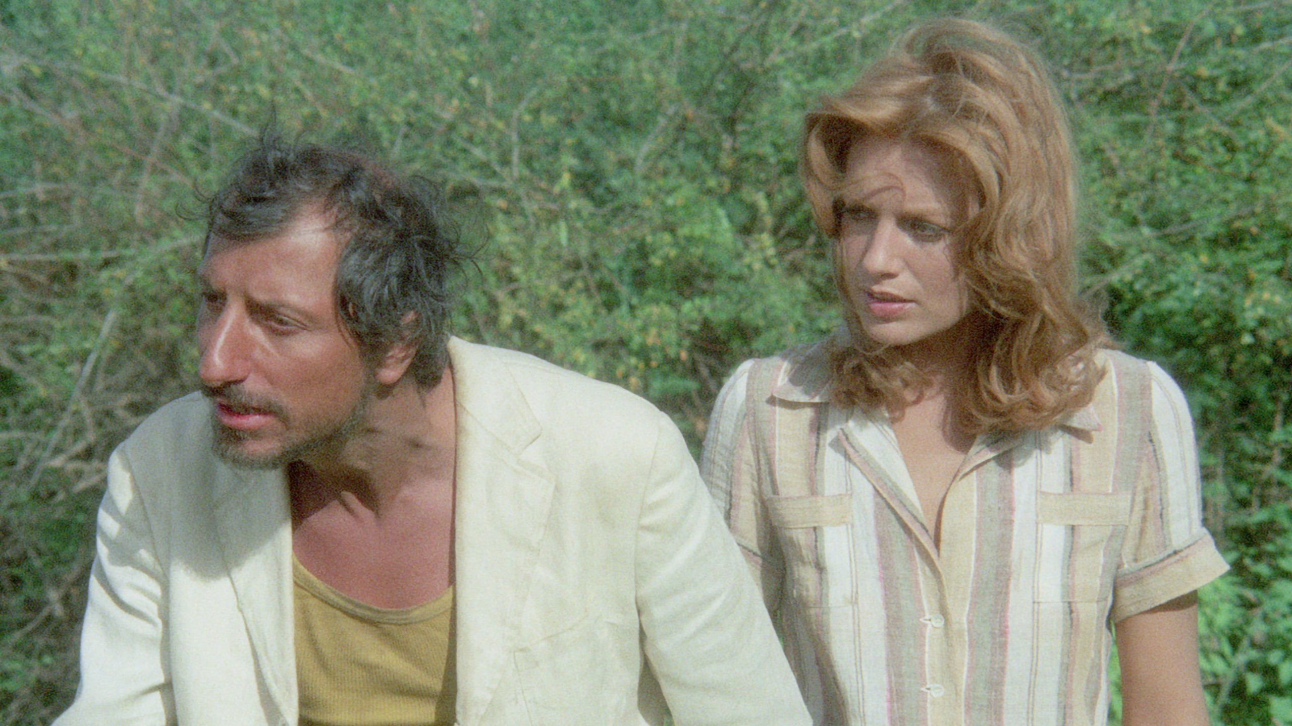 Backdrop for The Way of the Baboons