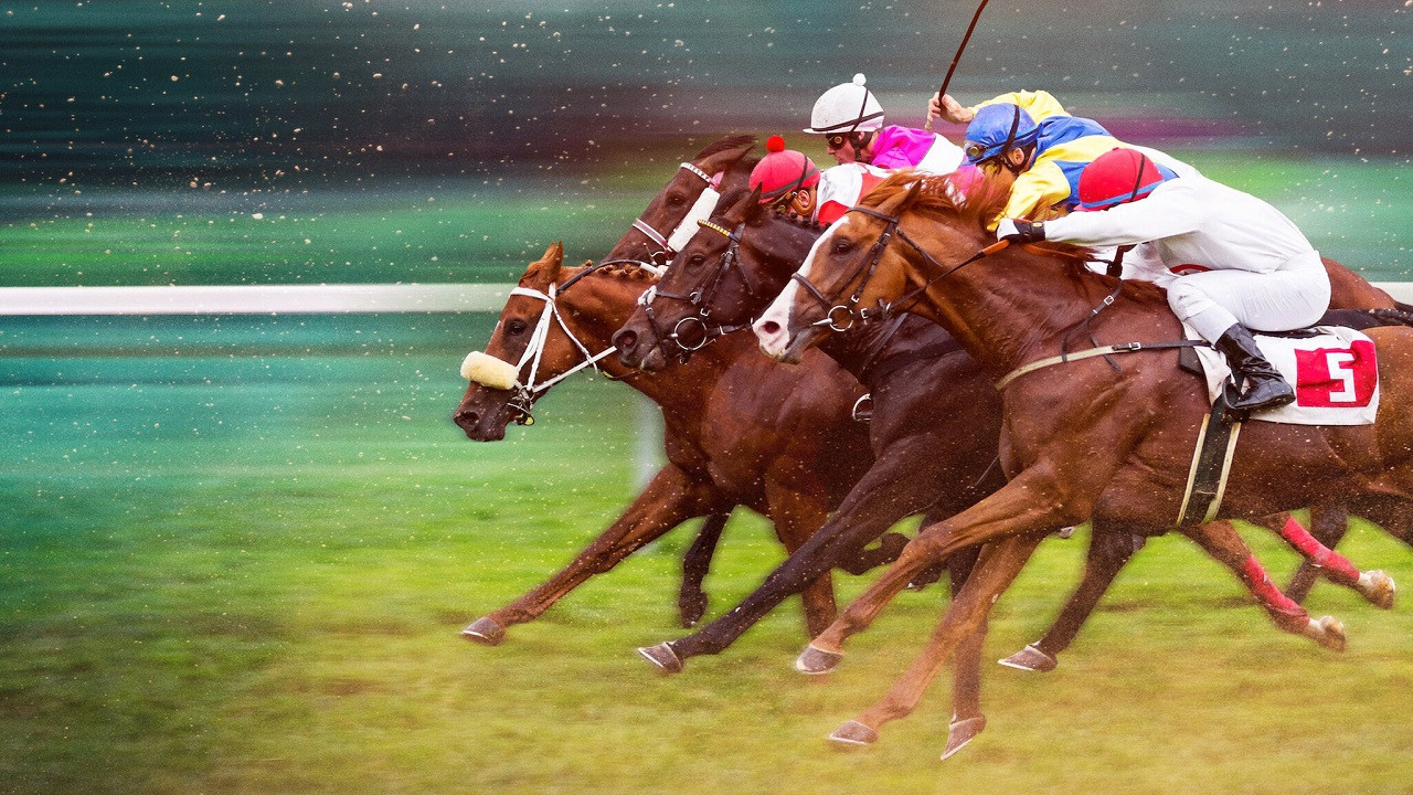 Backdrop for Race for the Crown