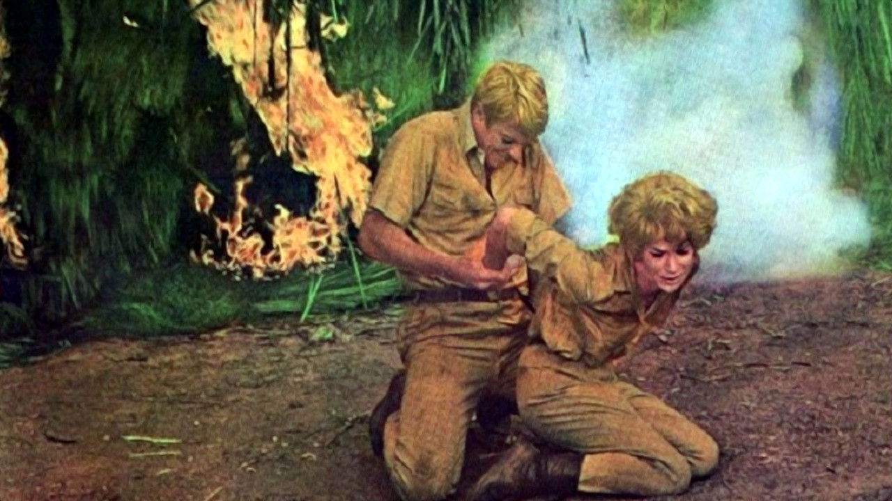 Backdrop for Valley of Mystery