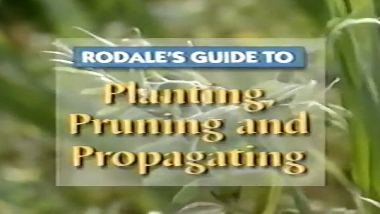Backdrop for Rodale's Guide to Planting, Pruning and Propagating