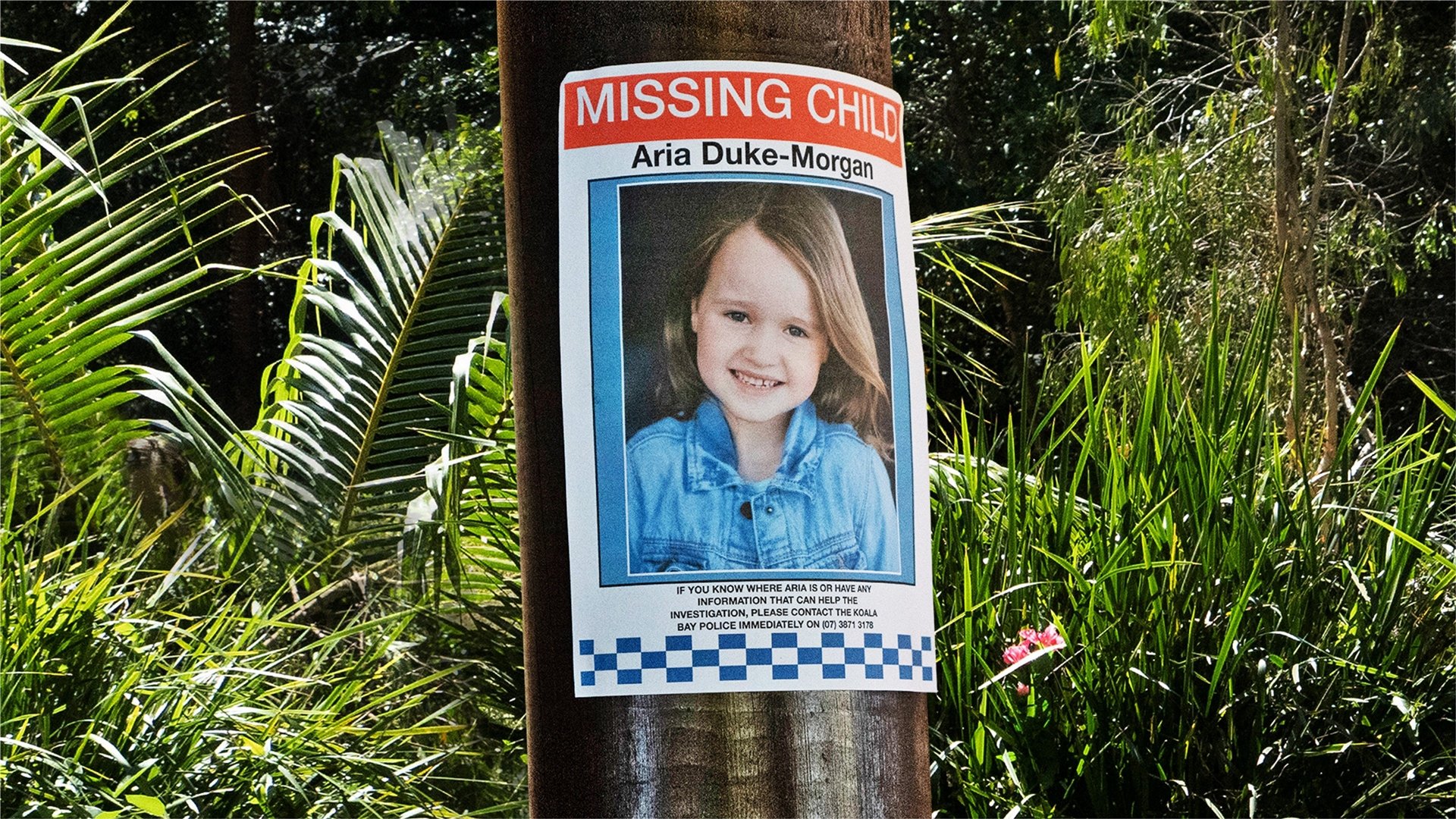 Backdrop for Kidnapped