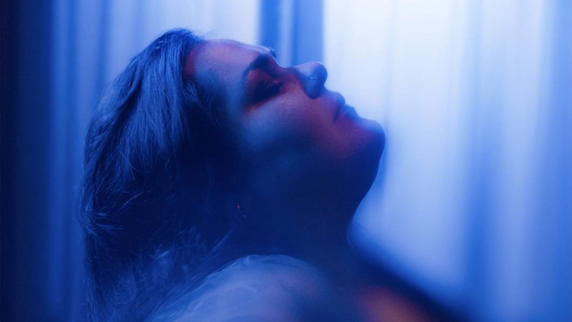 Backdrop for Il rimbalzo del gatto morto