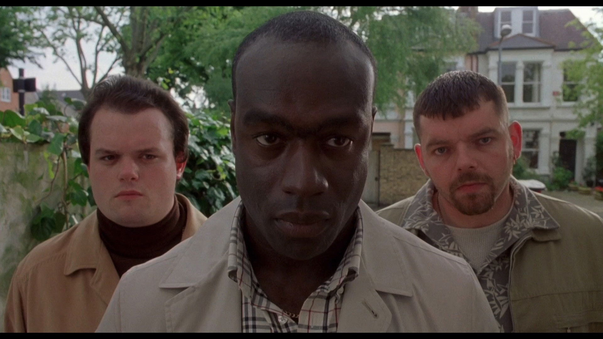 Backdrop for Dog Eat Dog