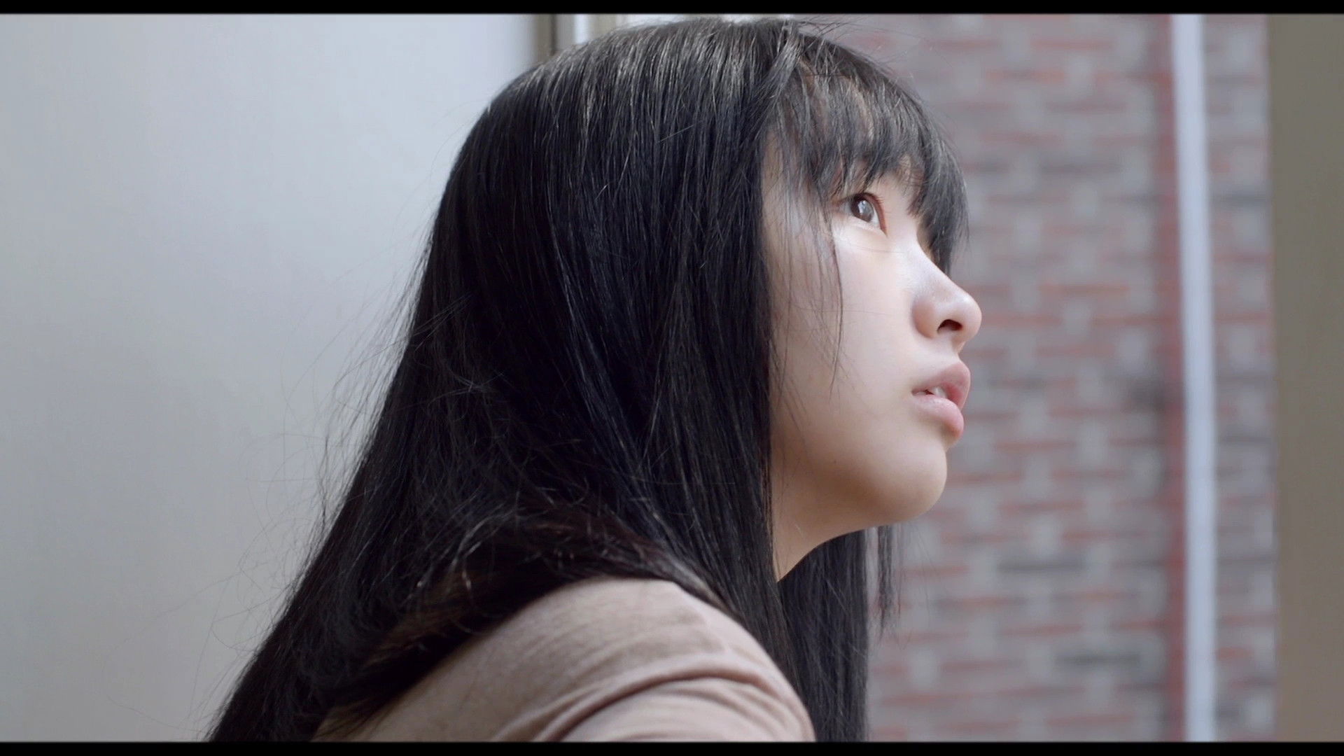 Backdrop for The Transfer Student