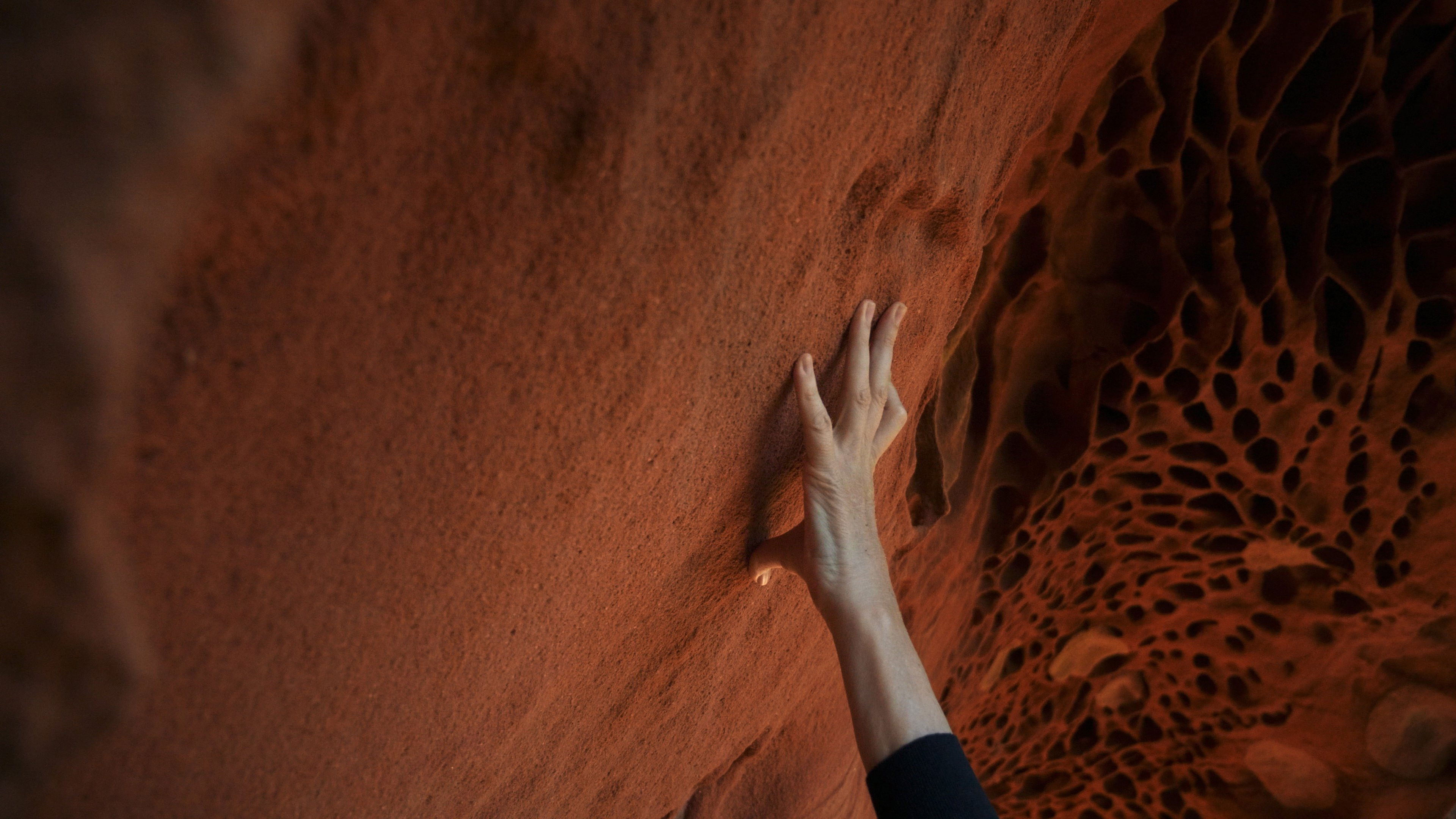 Backdrop for Hondalea: Marine Abyss