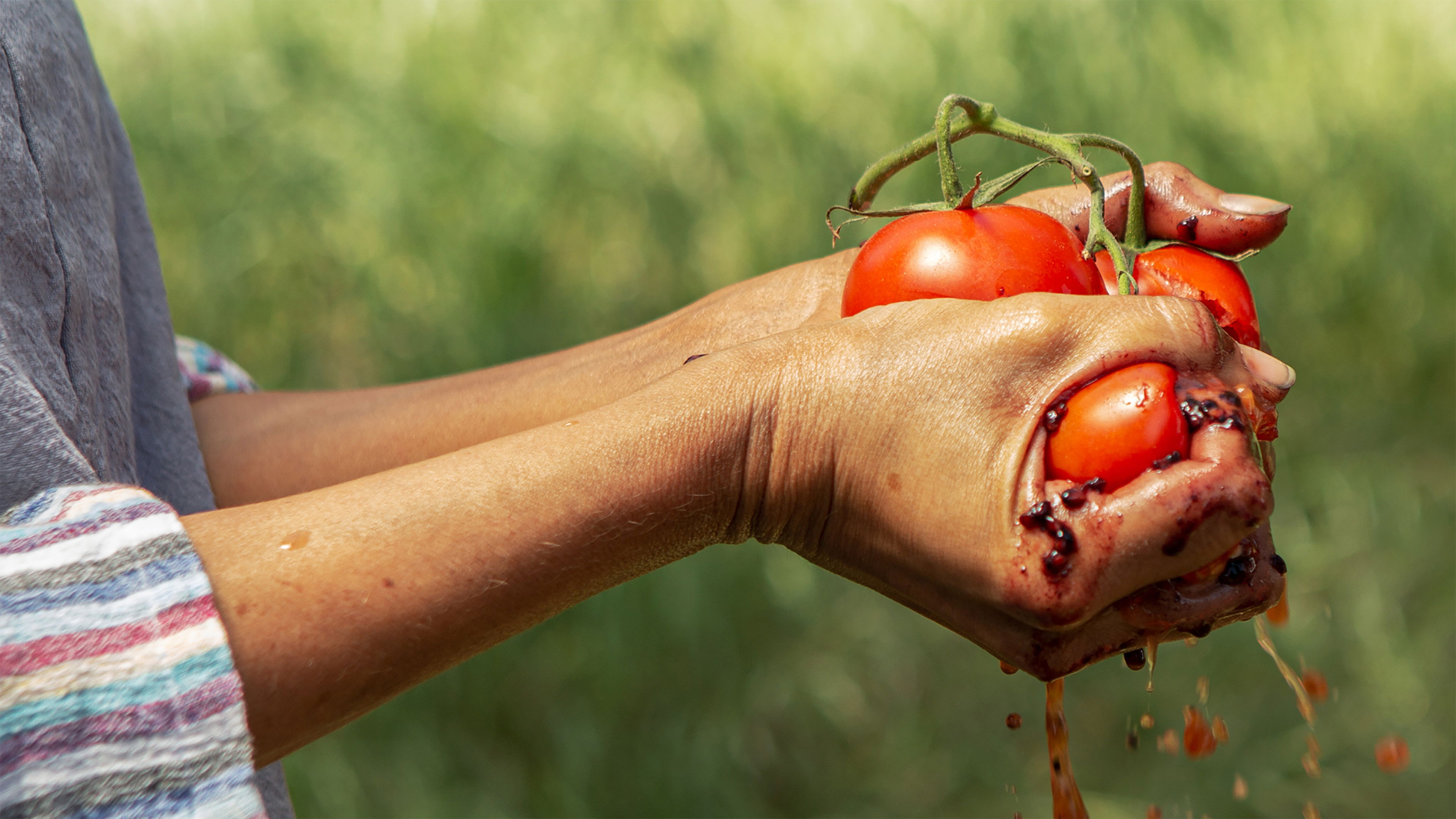 Backdrop for Gods of Food