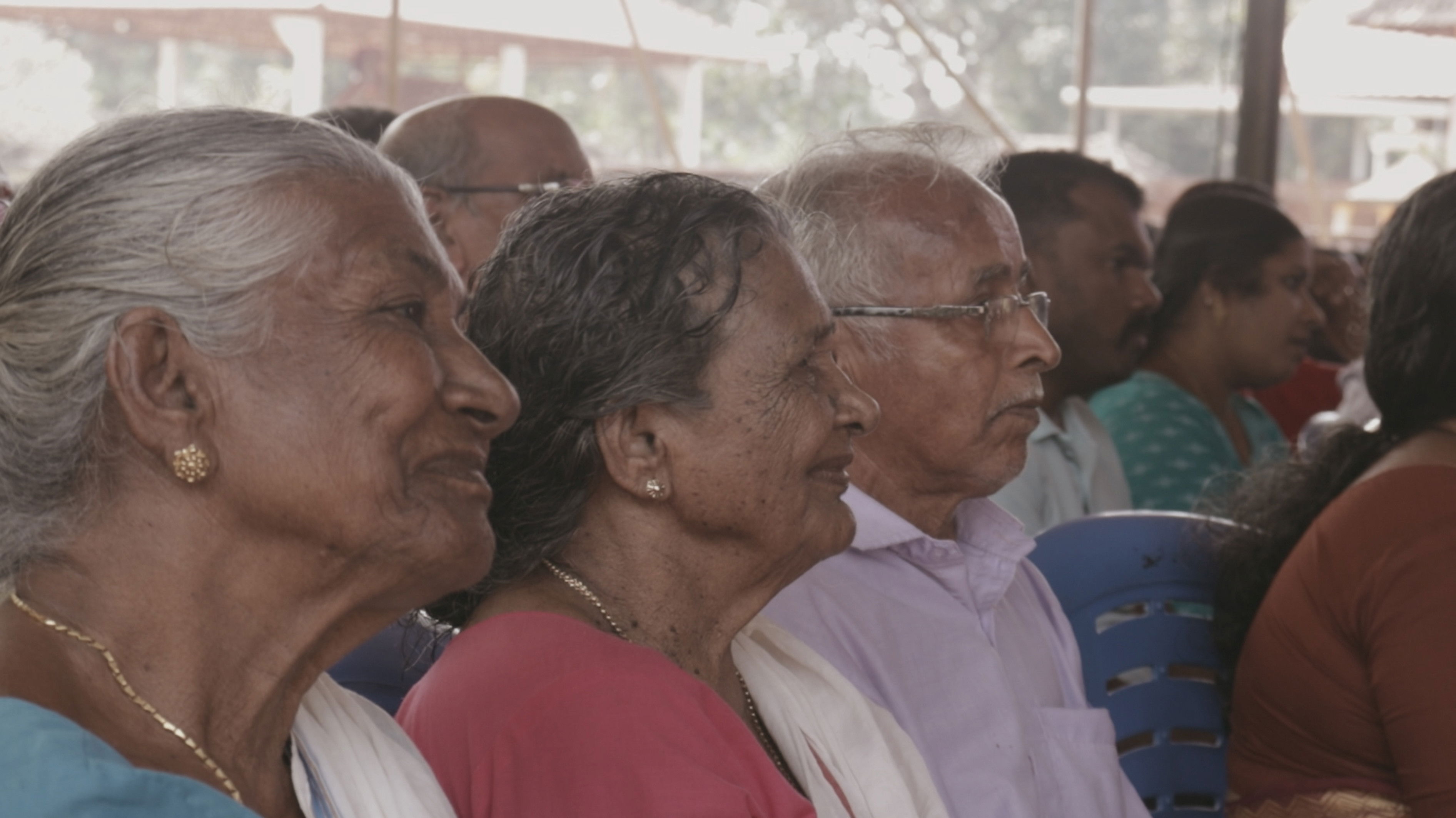 Backdrop for Gooseberries, Mangoes, and the Guava...