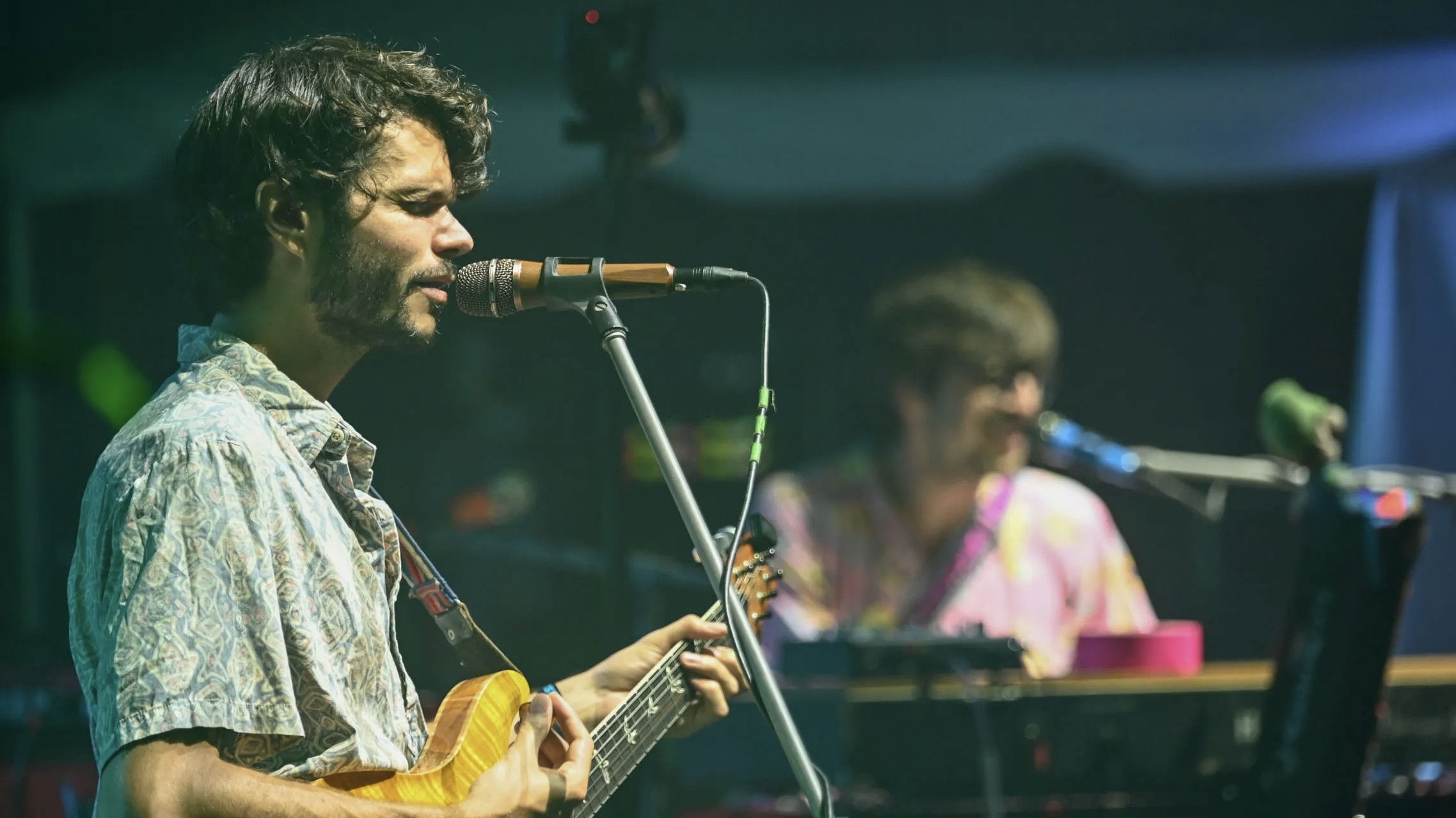 Backdrop for Fred the Film