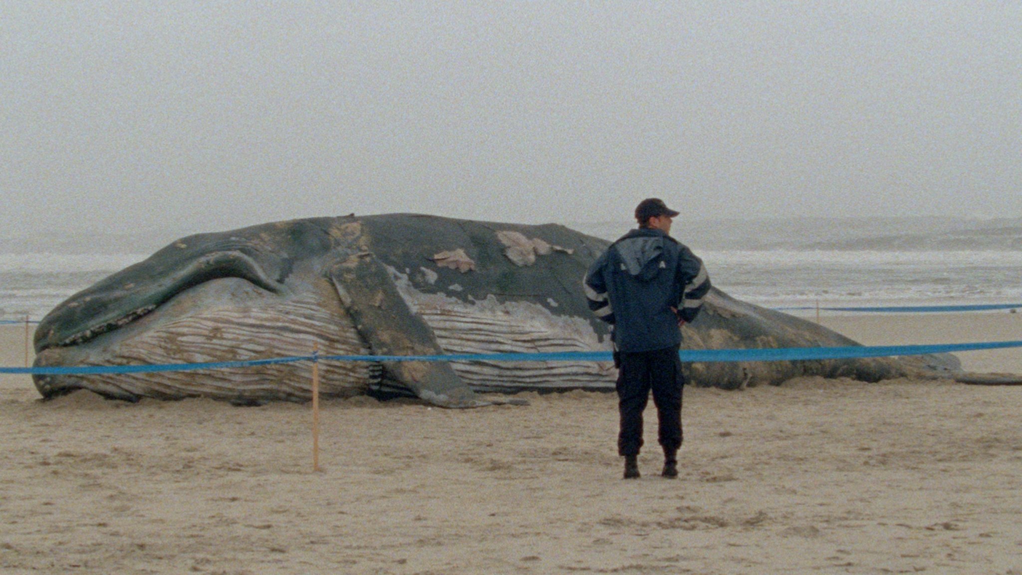 Backdrop for Arabian Nights: Volume 1, The Restless One