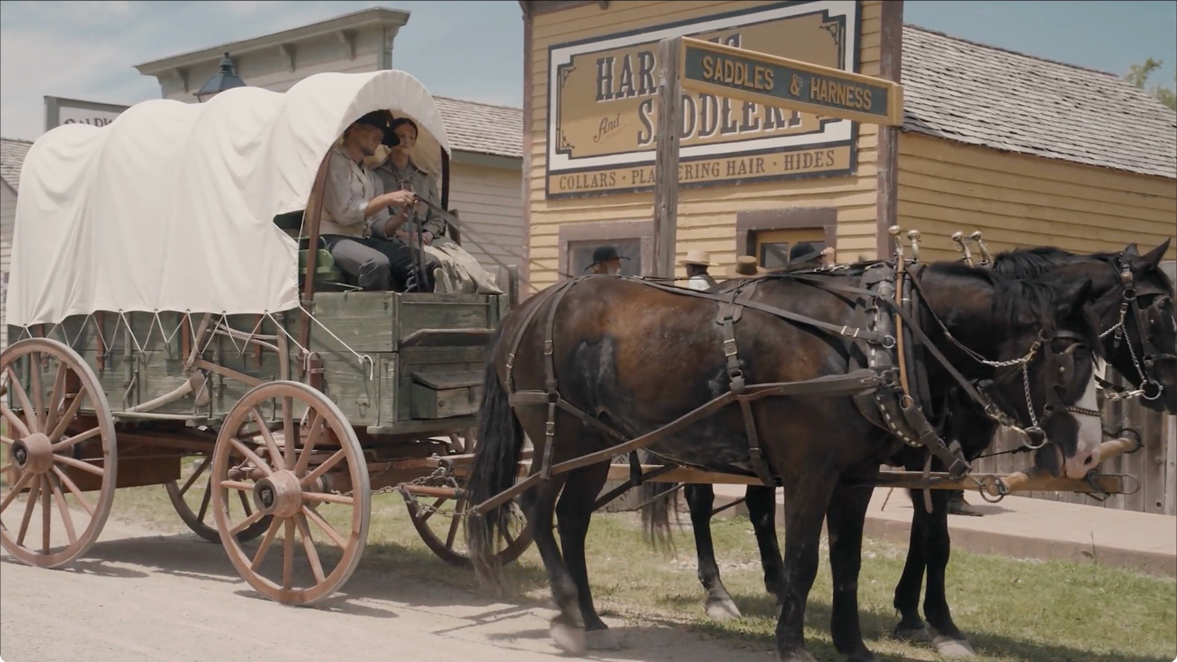 Backdrop for Sod and Stubble