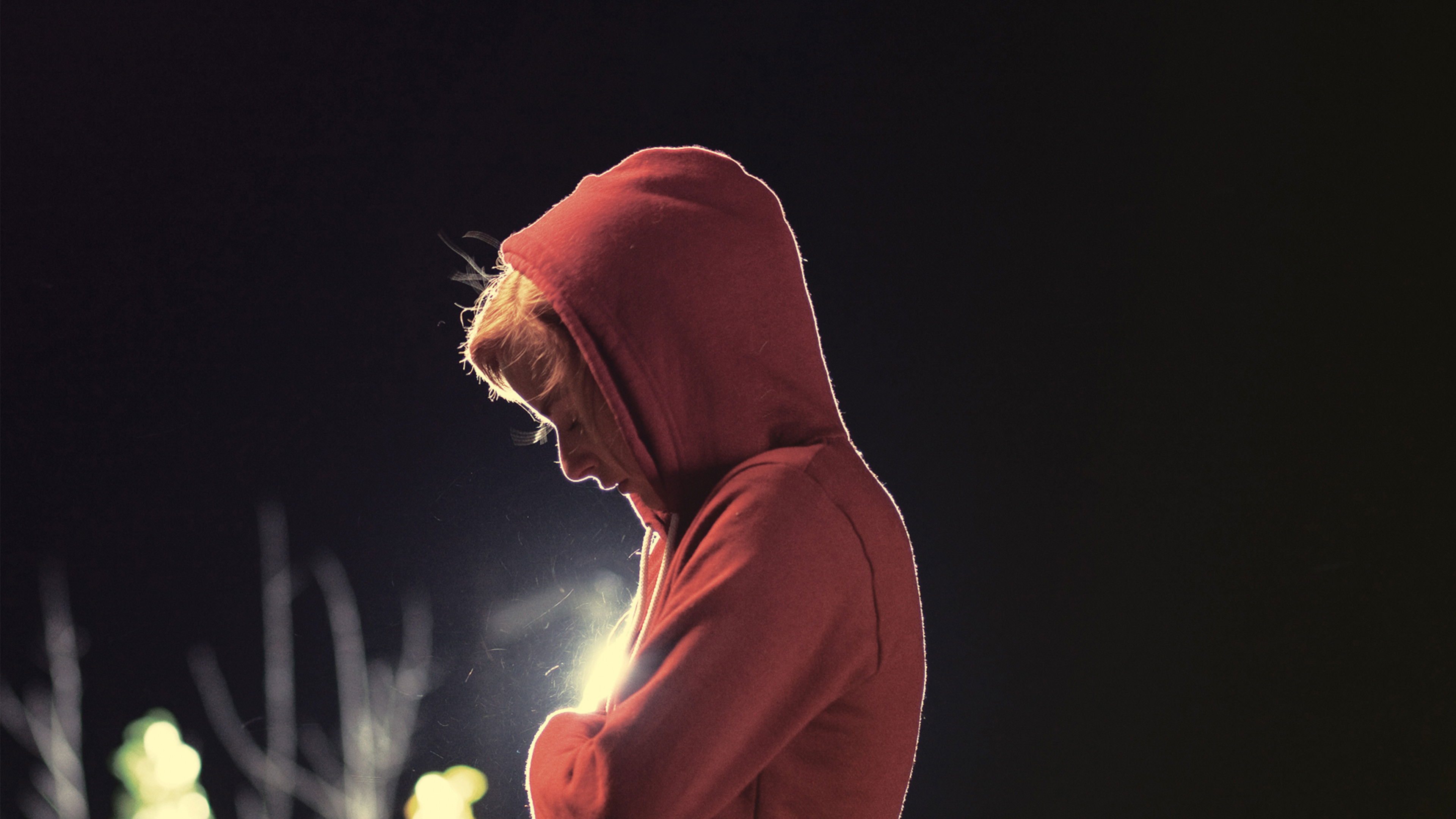 Backdrop for La Ronde