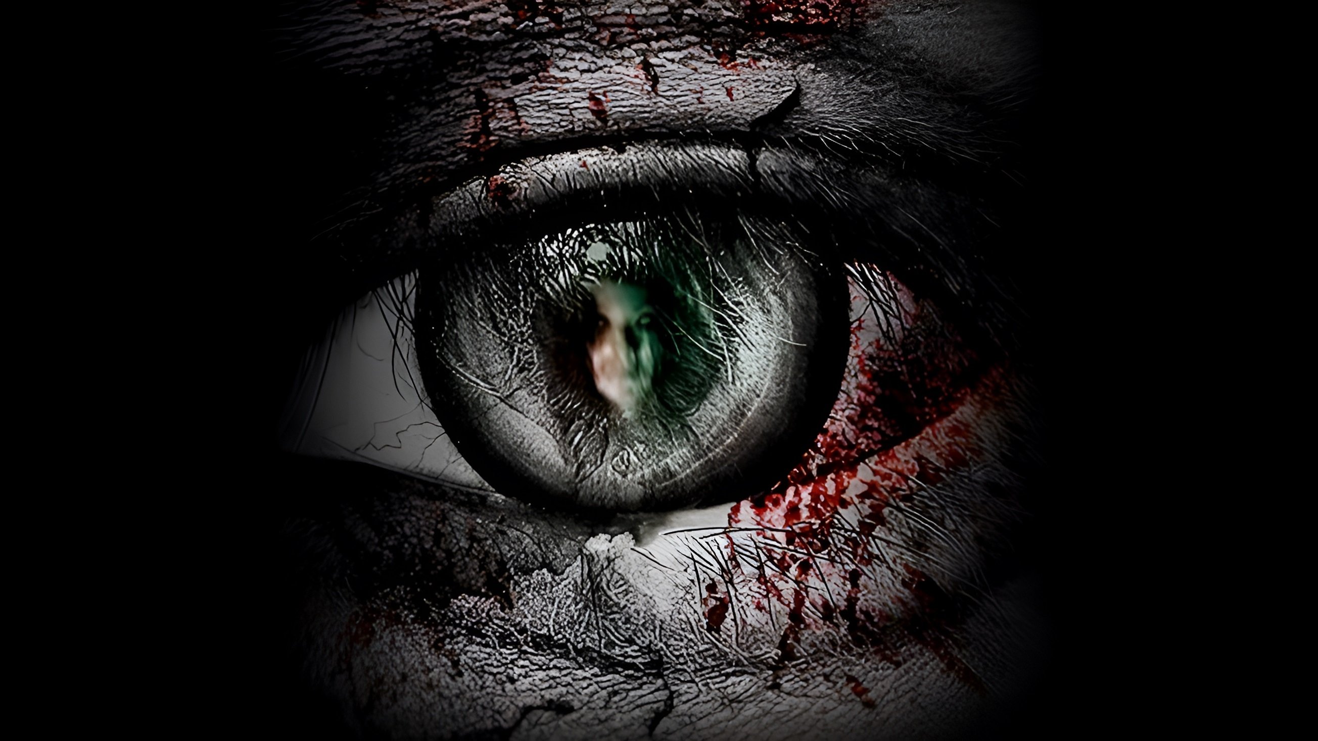 Backdrop for The Second Sight