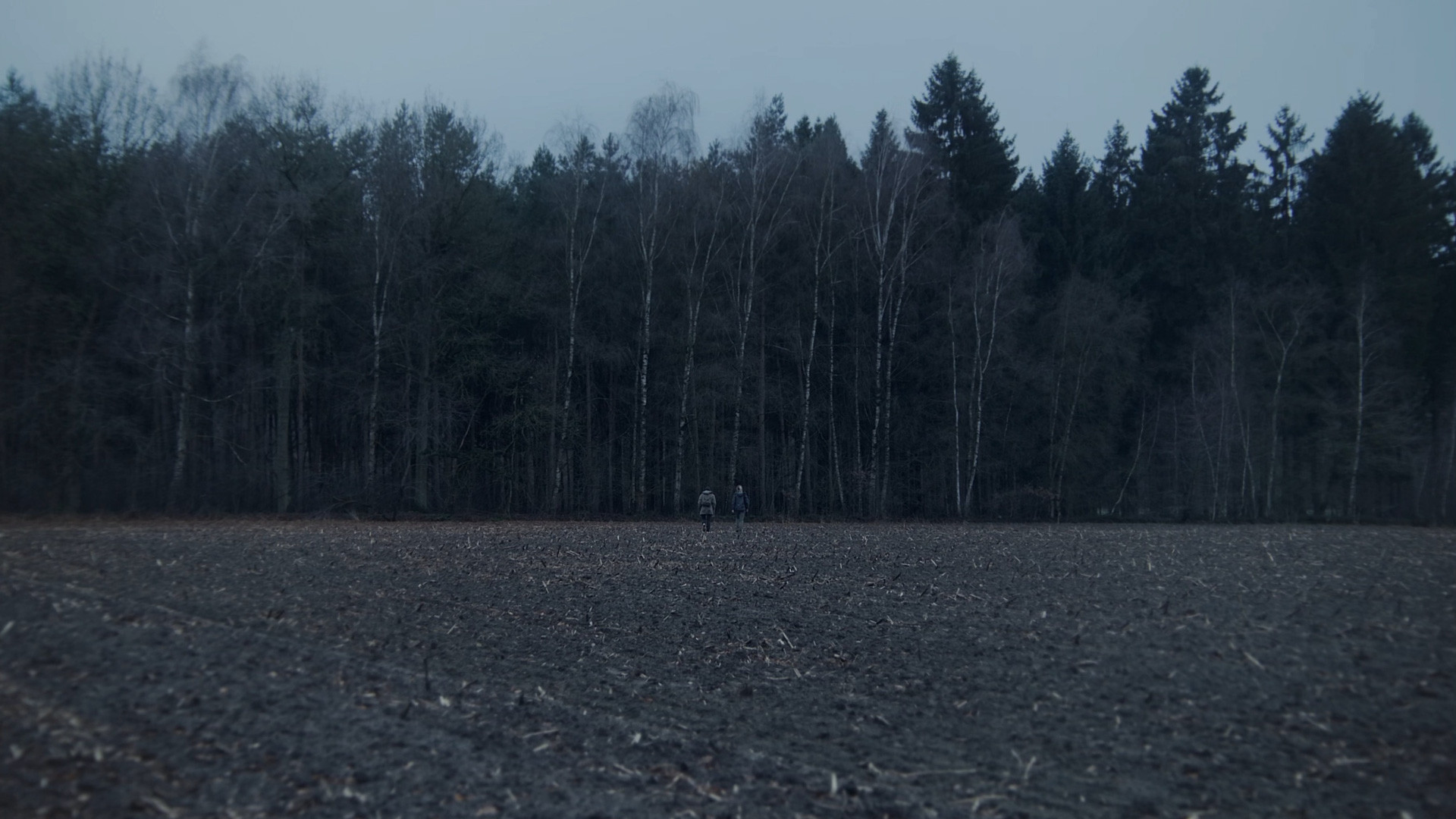 Backdrop for The Boar