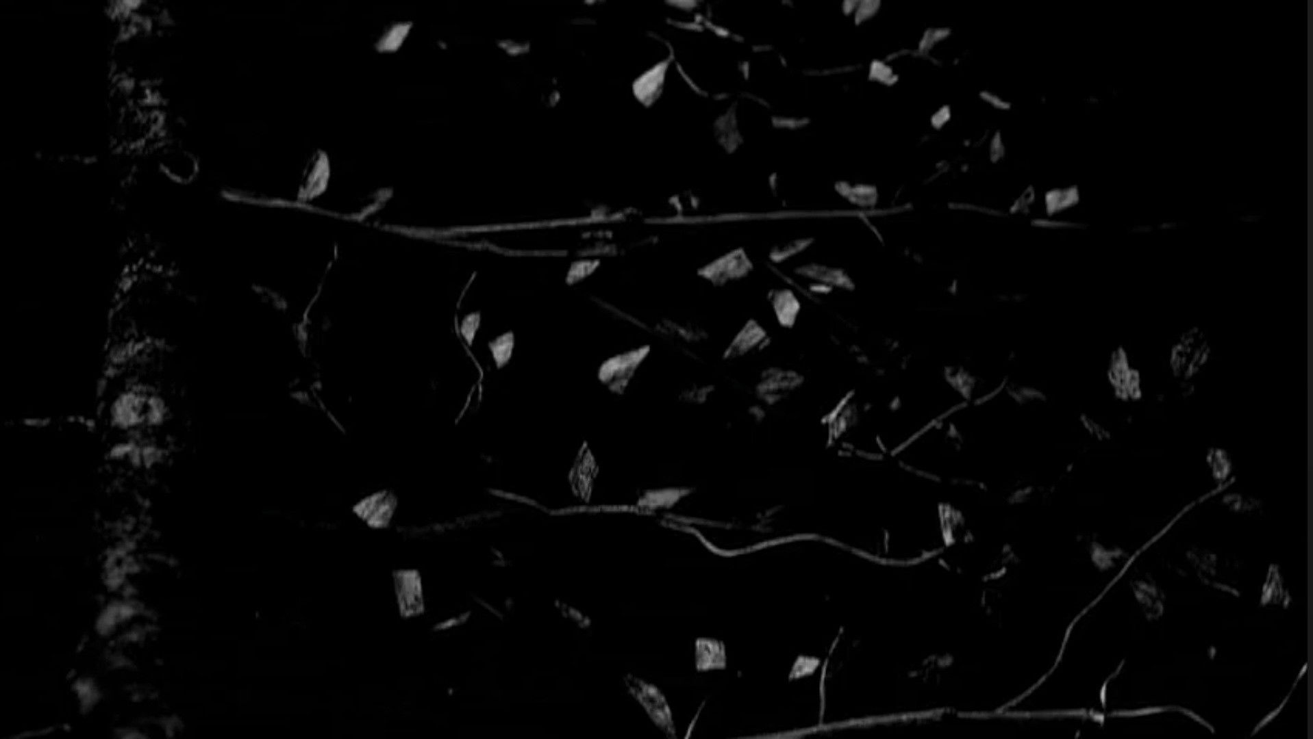 Backdrop for Gojira: Live at Garorock