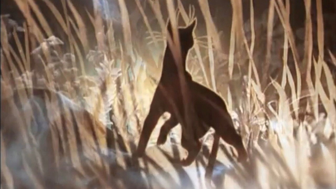 Backdrop for The Cat Who Walked by Herself